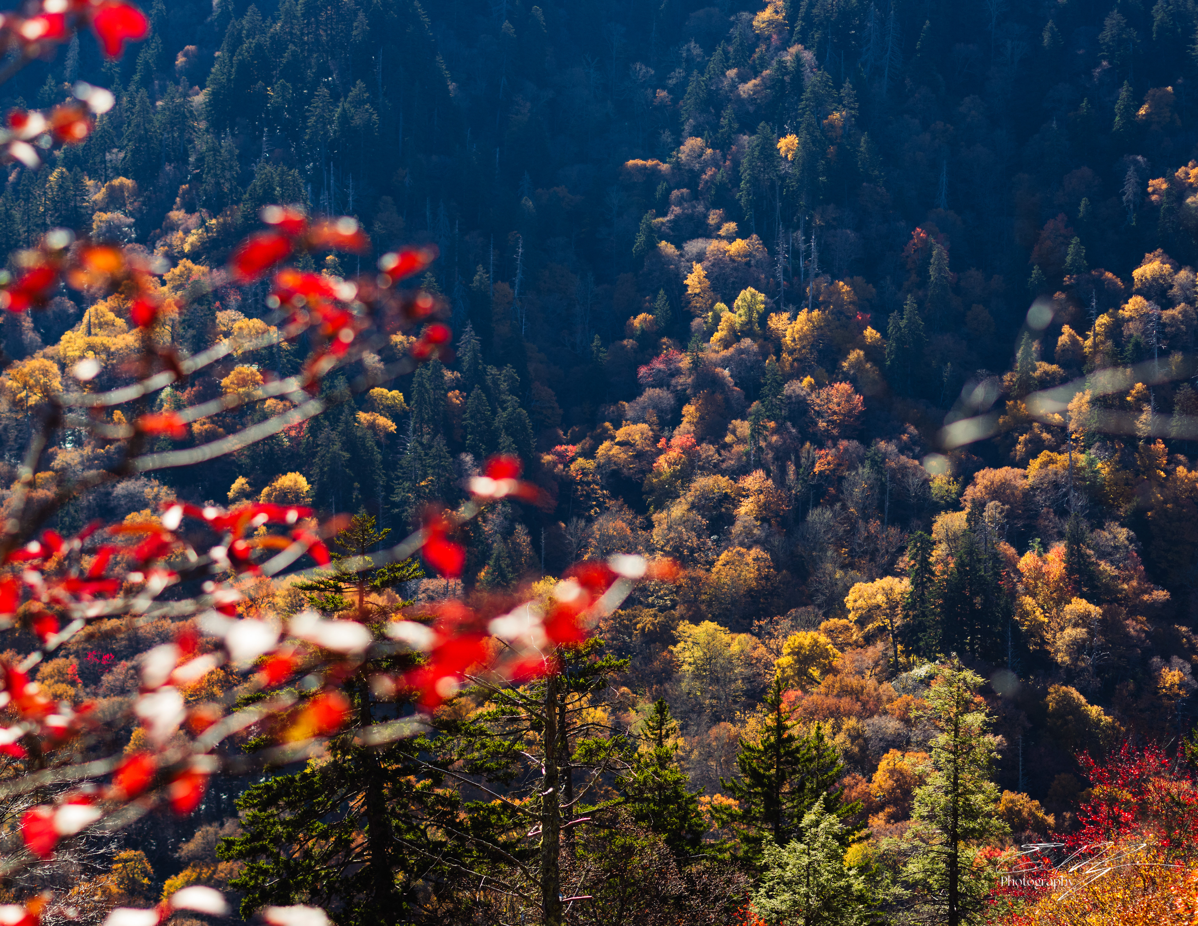 Alum Cave Trail October 2024   V