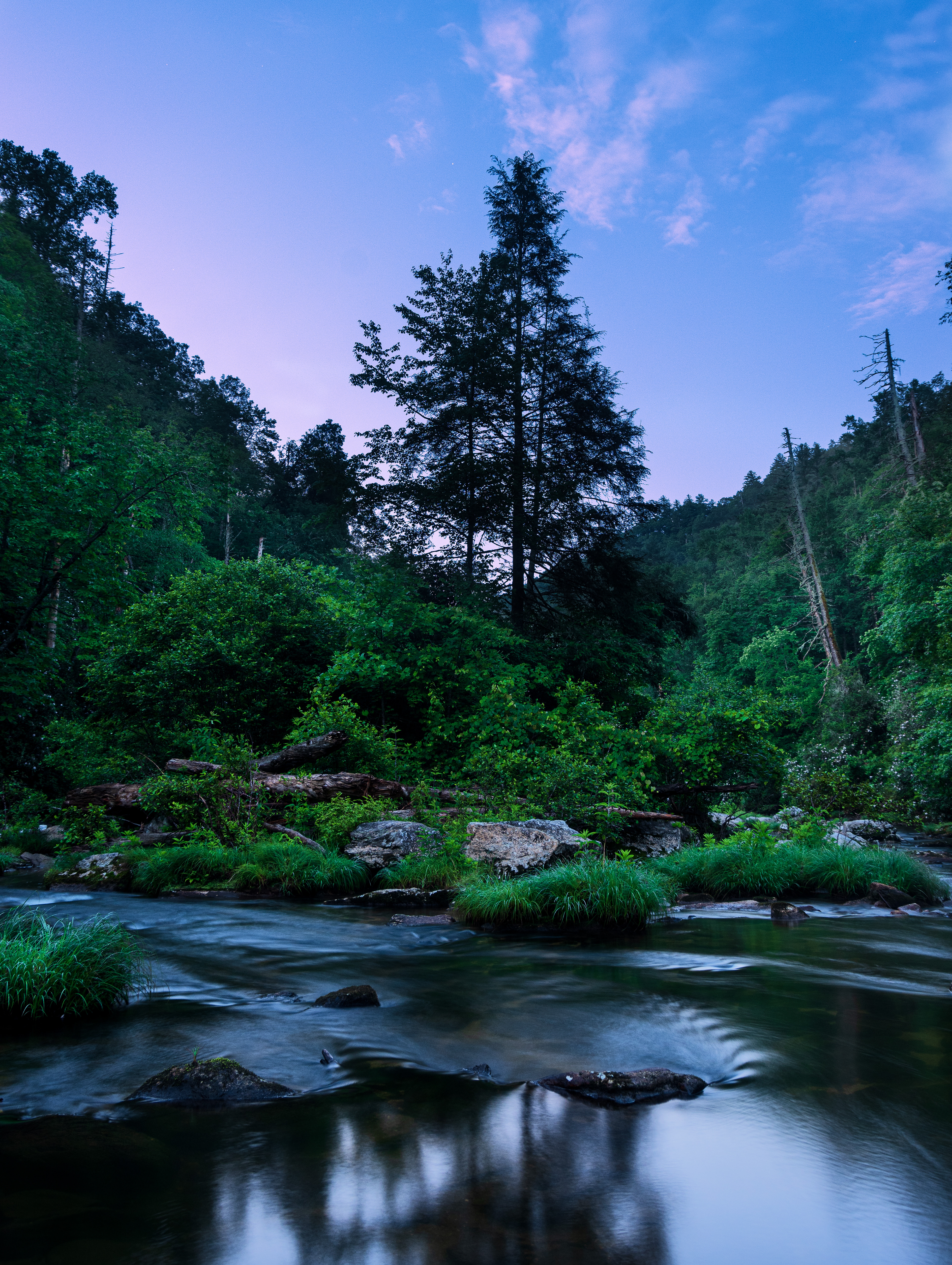 Ellicott Rock Wilderness July 2022   VII