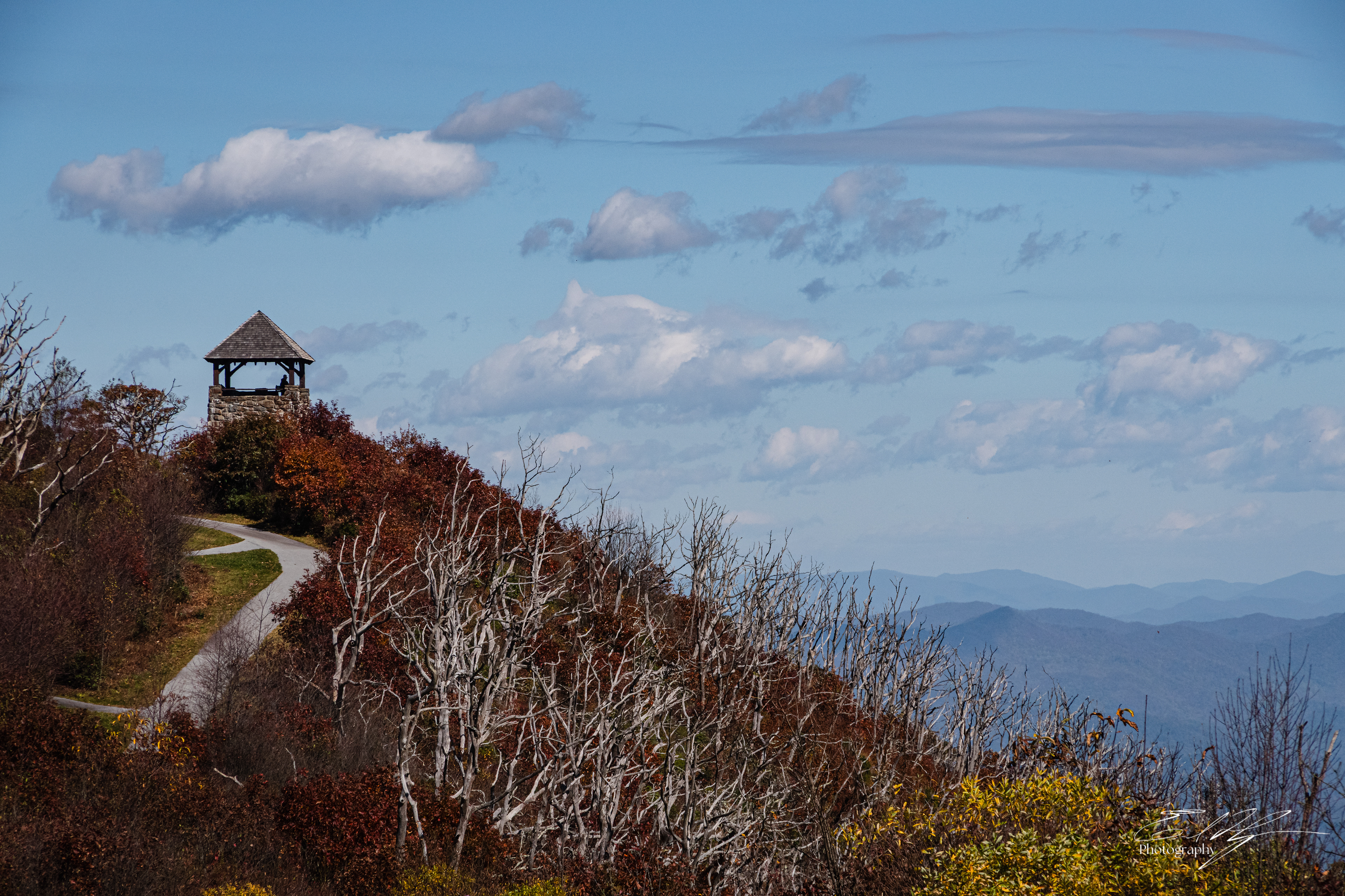Day 5  Wayah Bald VI