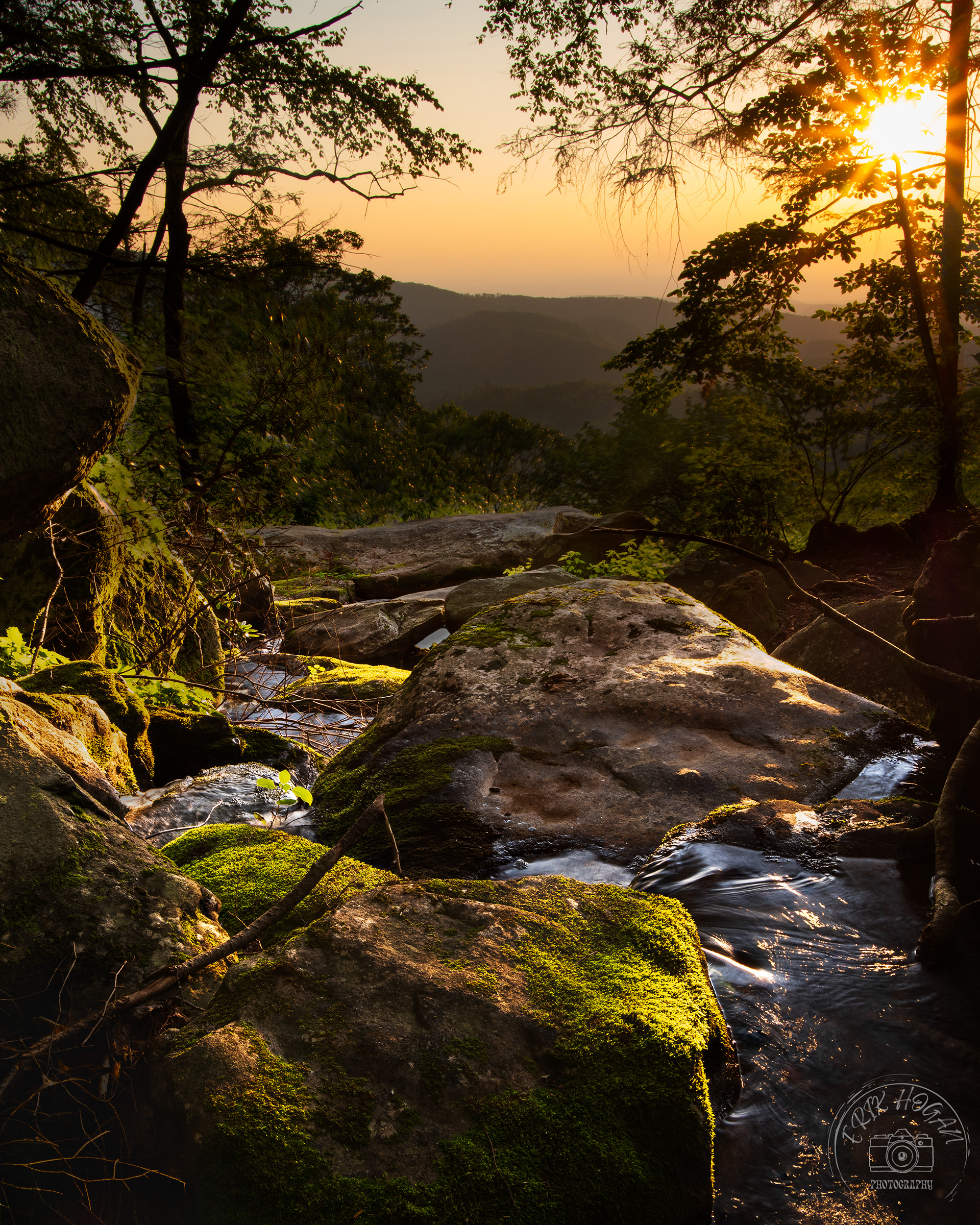 Cohutta Wilderness July 2023