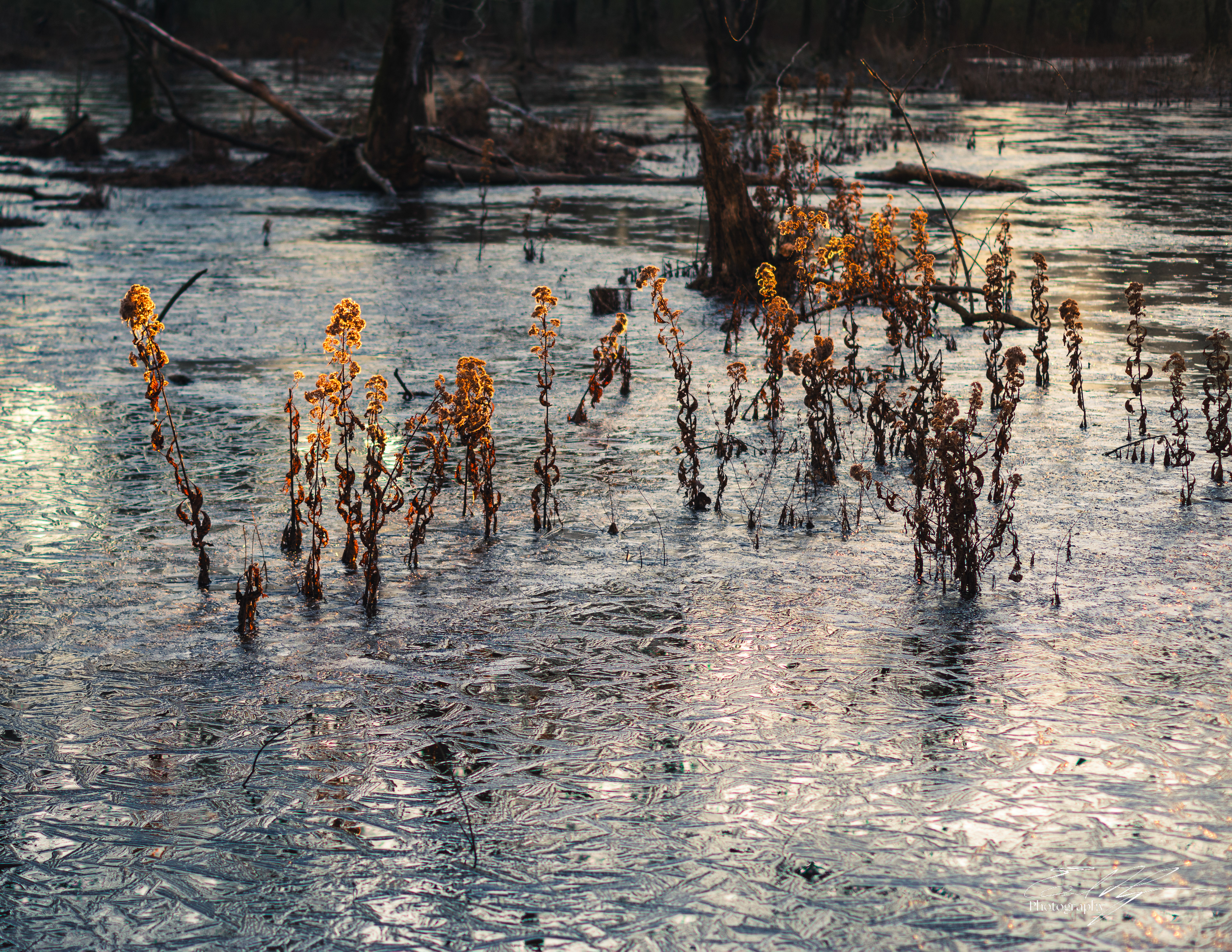 Sandy Creek Nature Center Ice January 2025   I