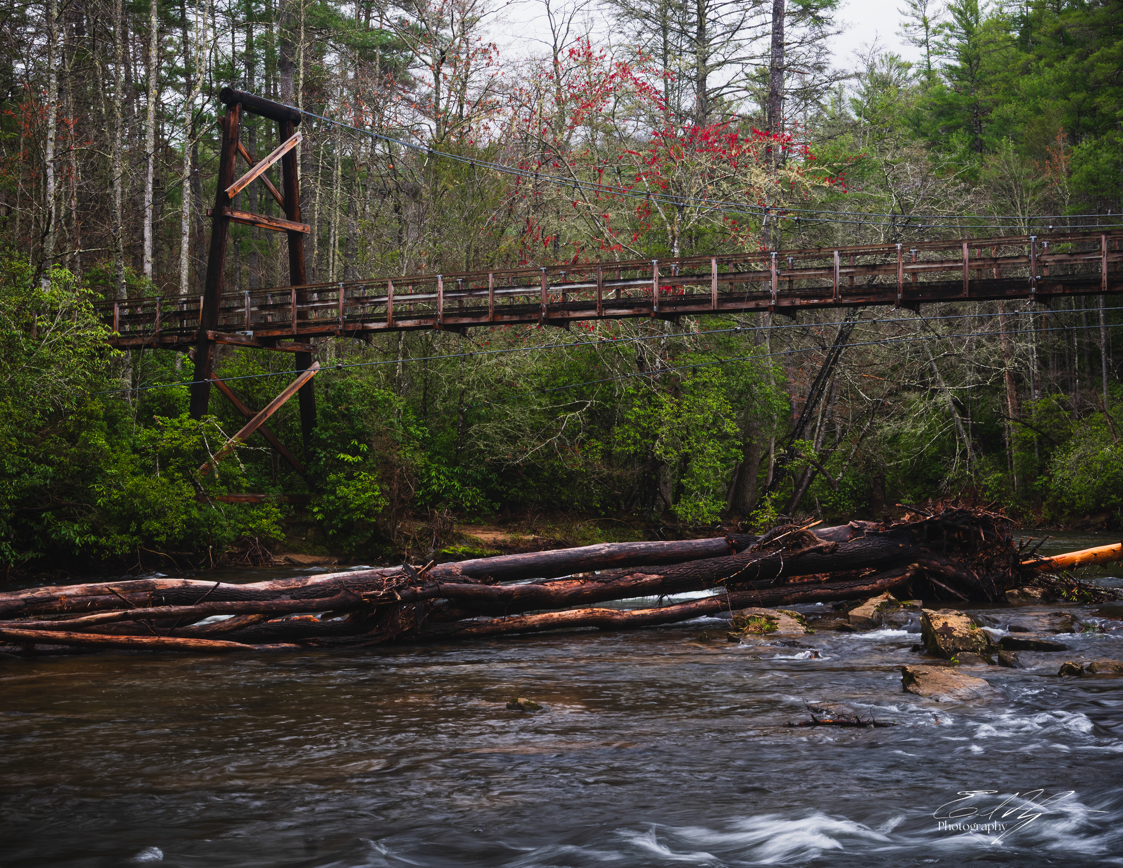 Toccoa River Swinging Bridge   III