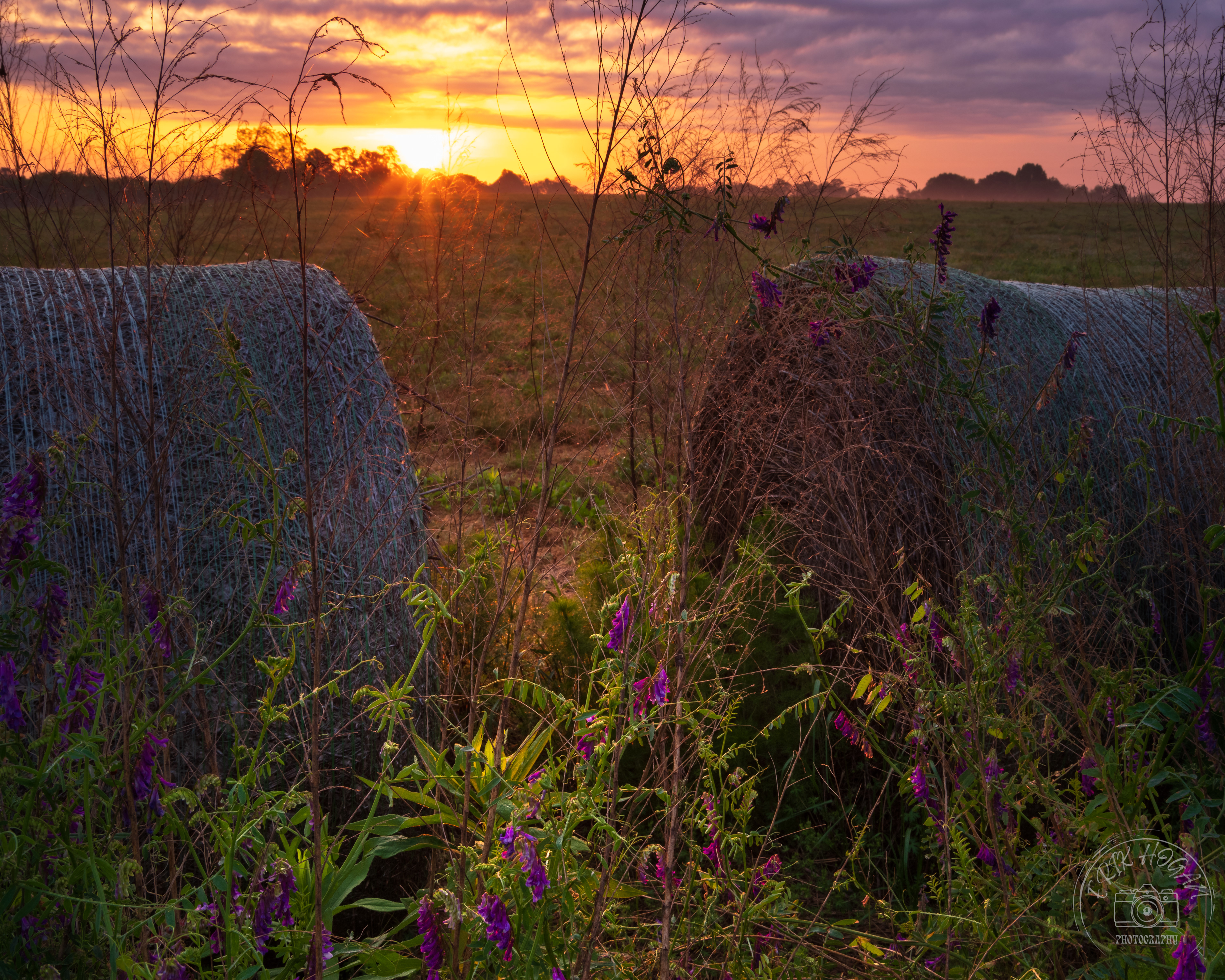 Old Elberton Rd Sunrise May 2023