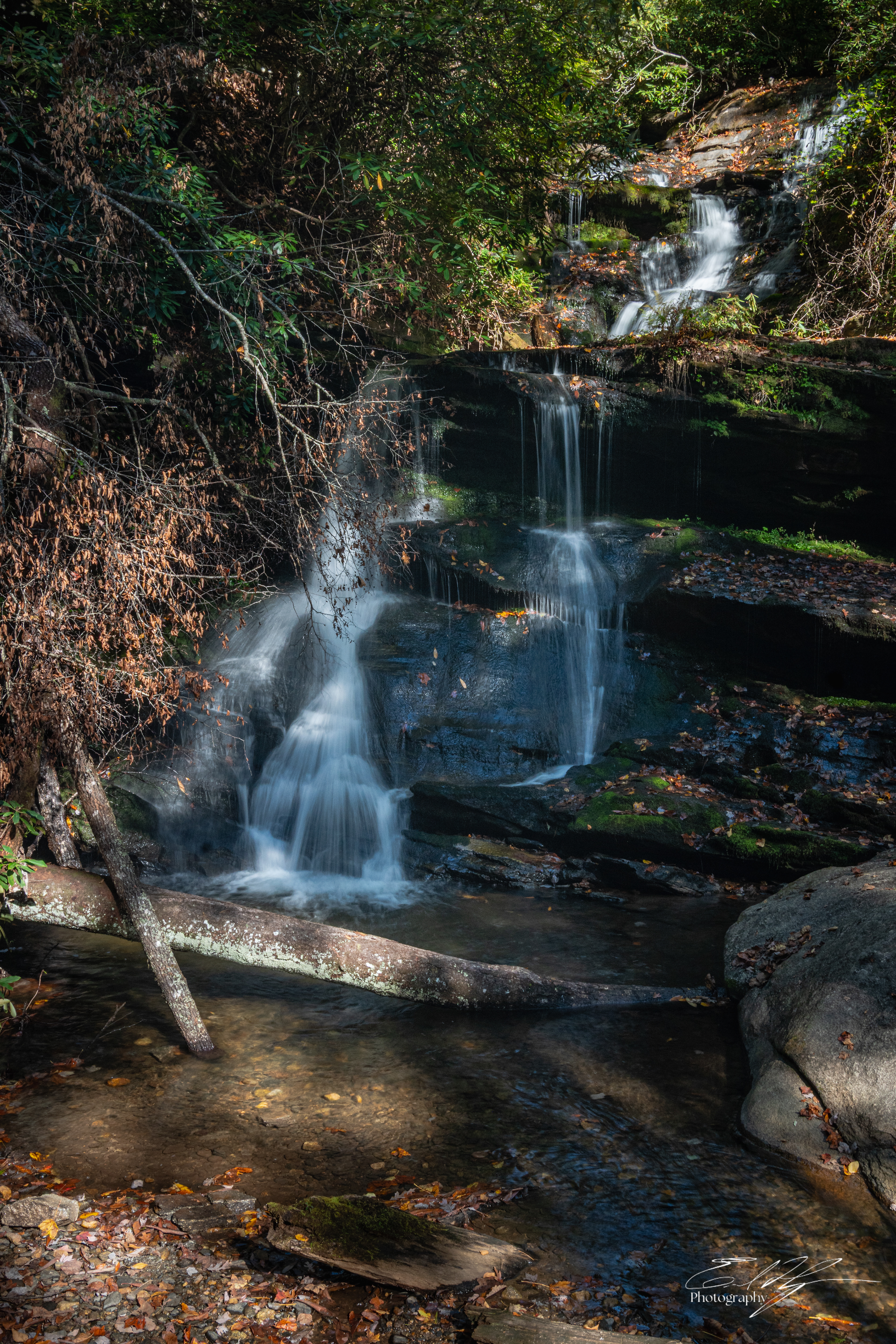 Day 2  Martin Creek Falls