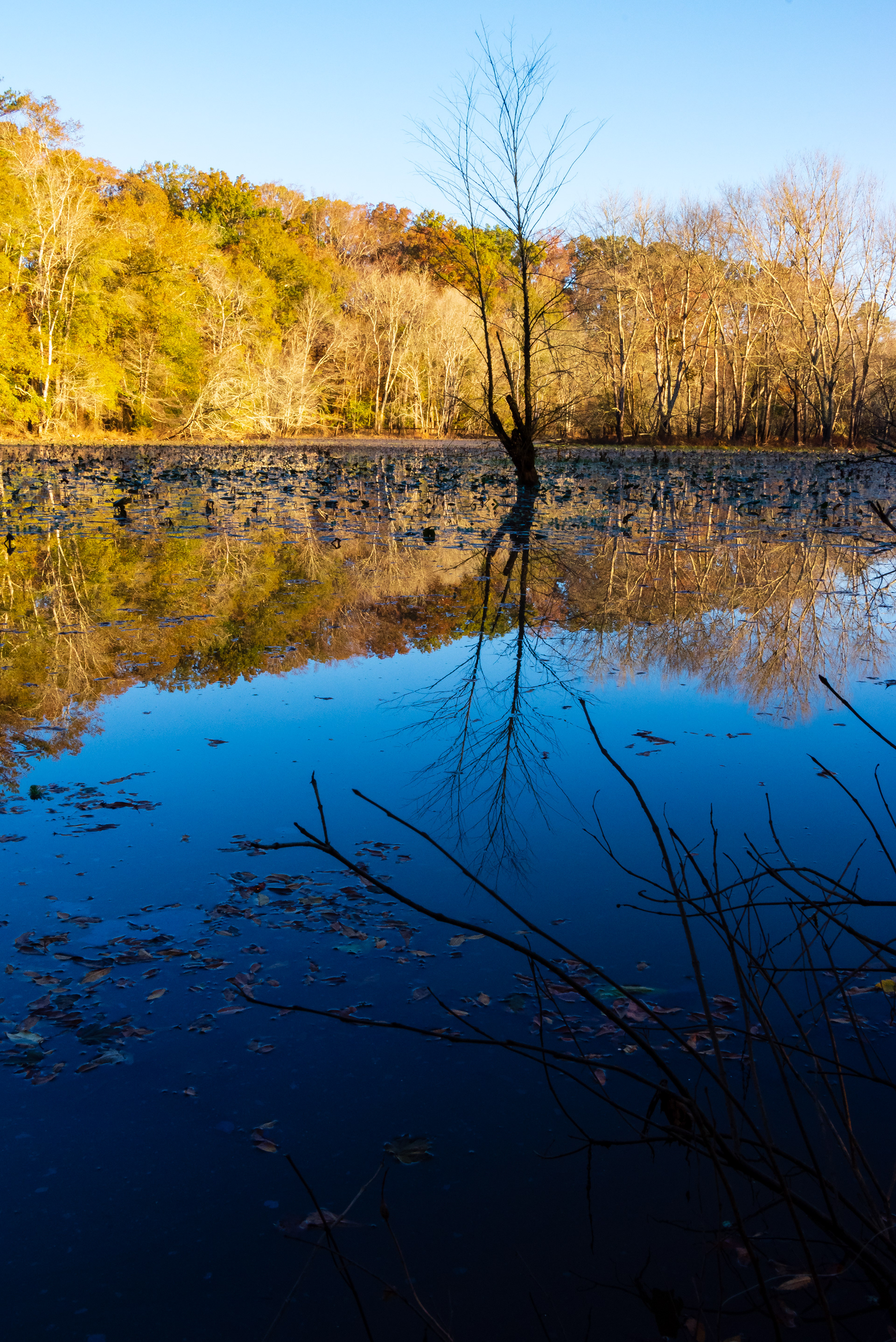 Sandy Creek Nature Center November 2020   II