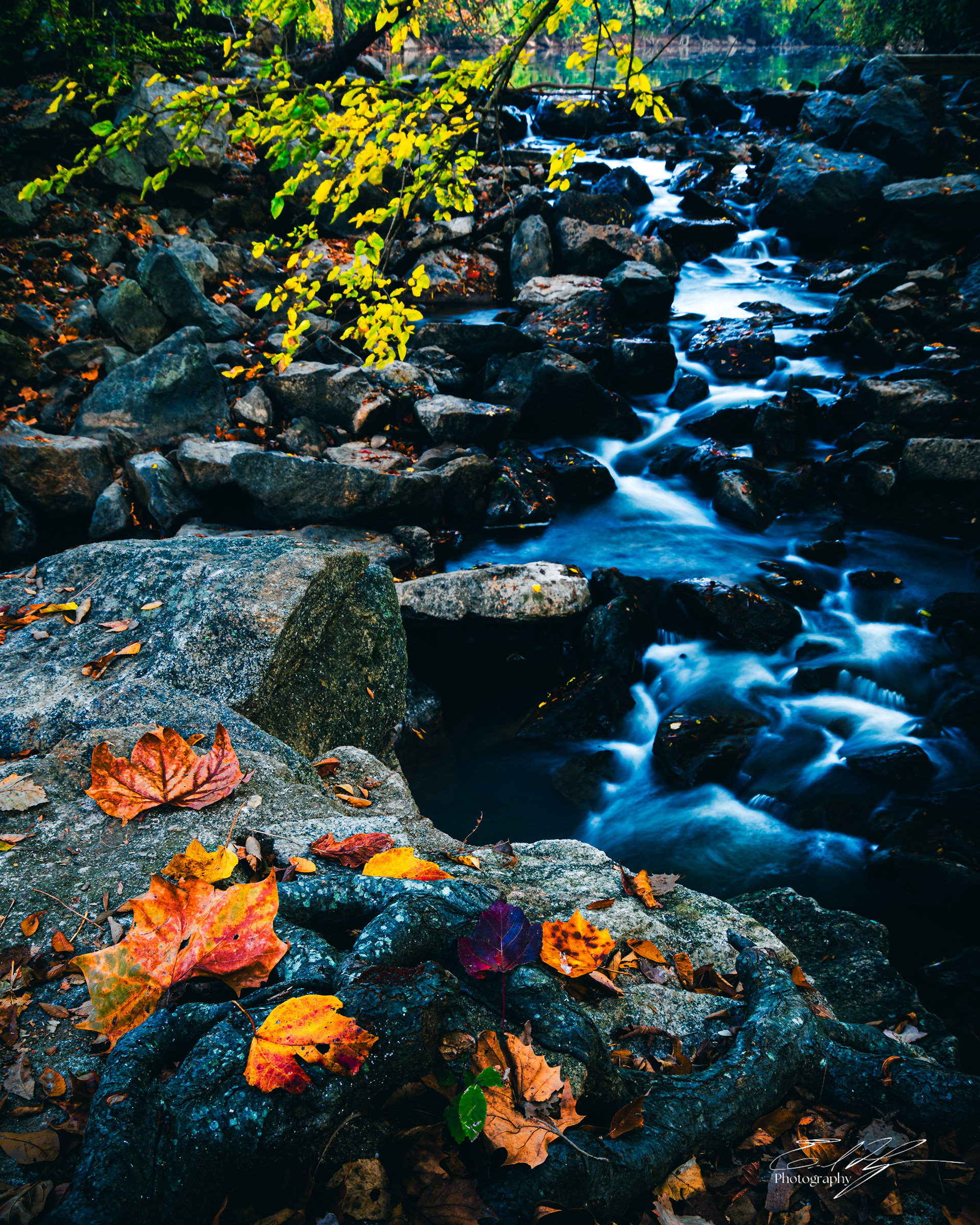 Easley's Mill November 2024