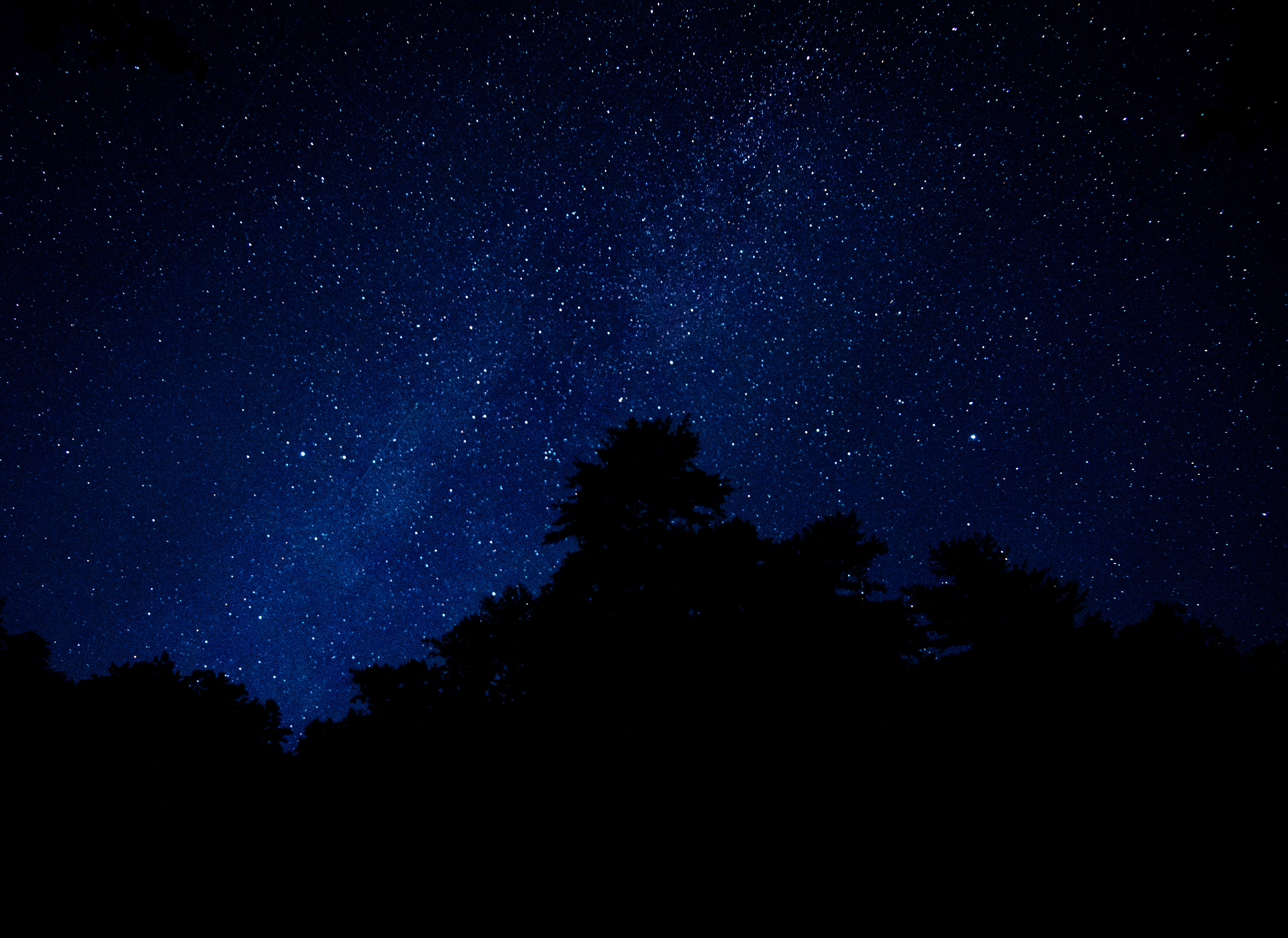 Ellicott Rock Wilderness July 2022   V