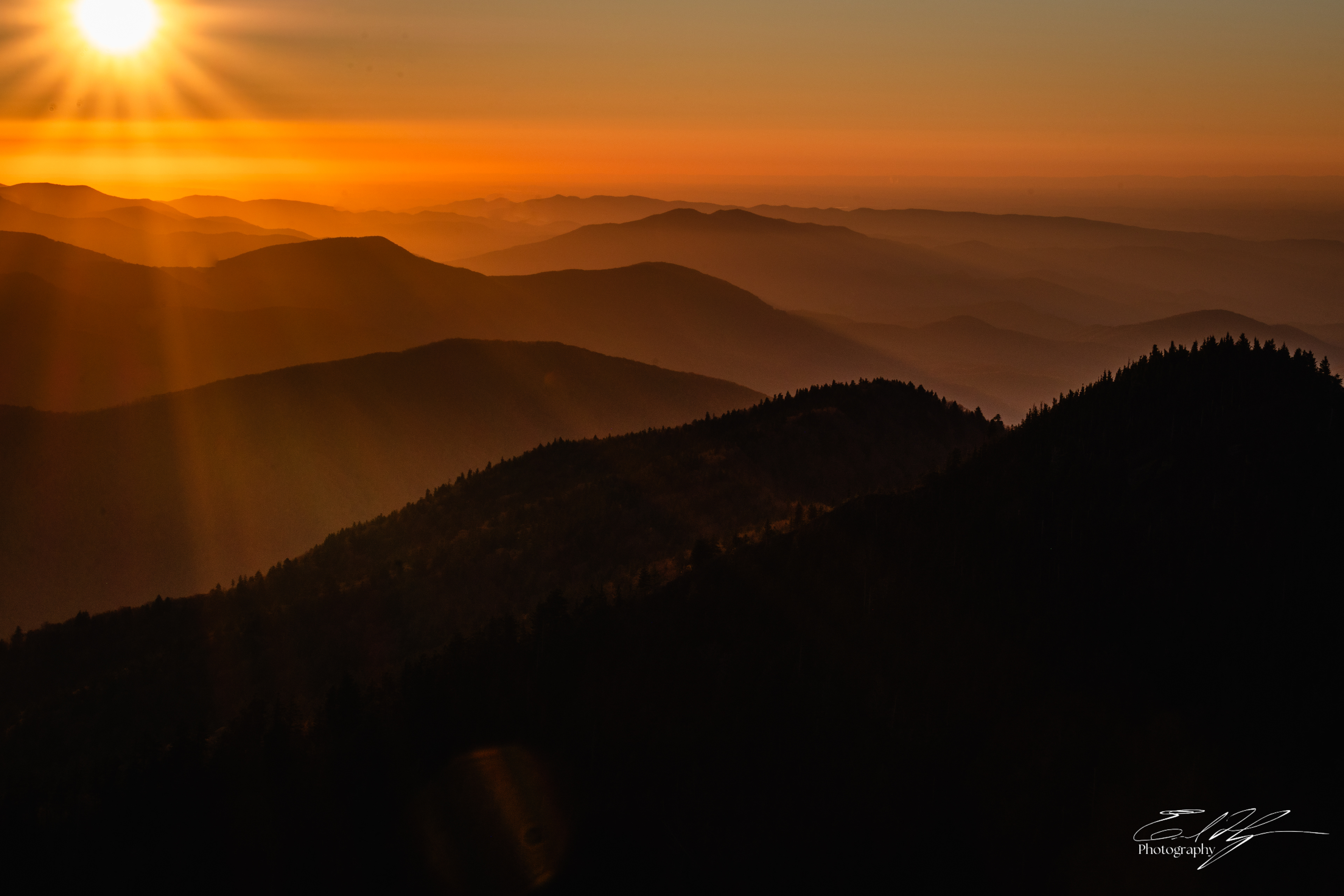 Mount LeConte October 2024   VIII