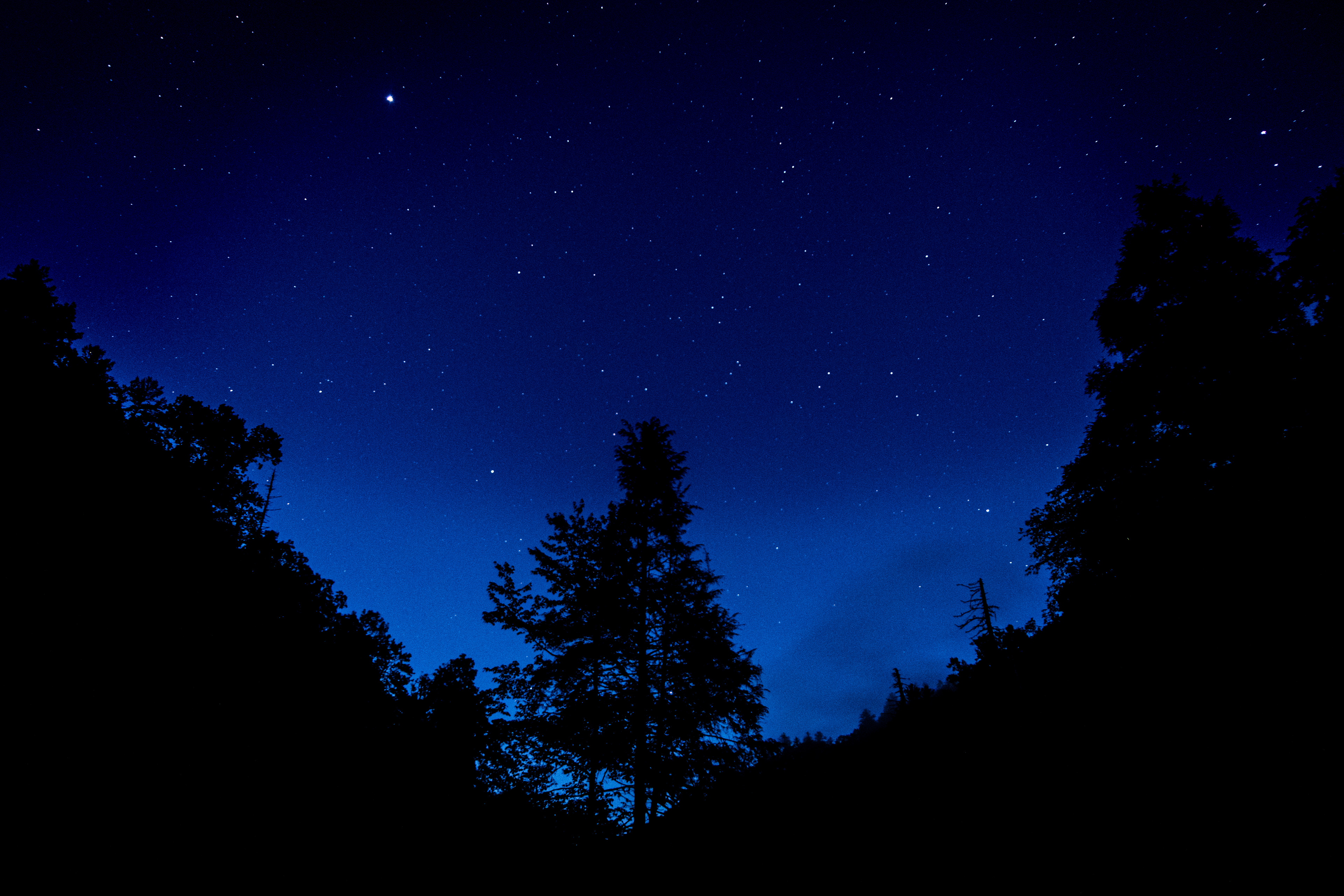 Ellicott Rock Wilderness July 2022   VI