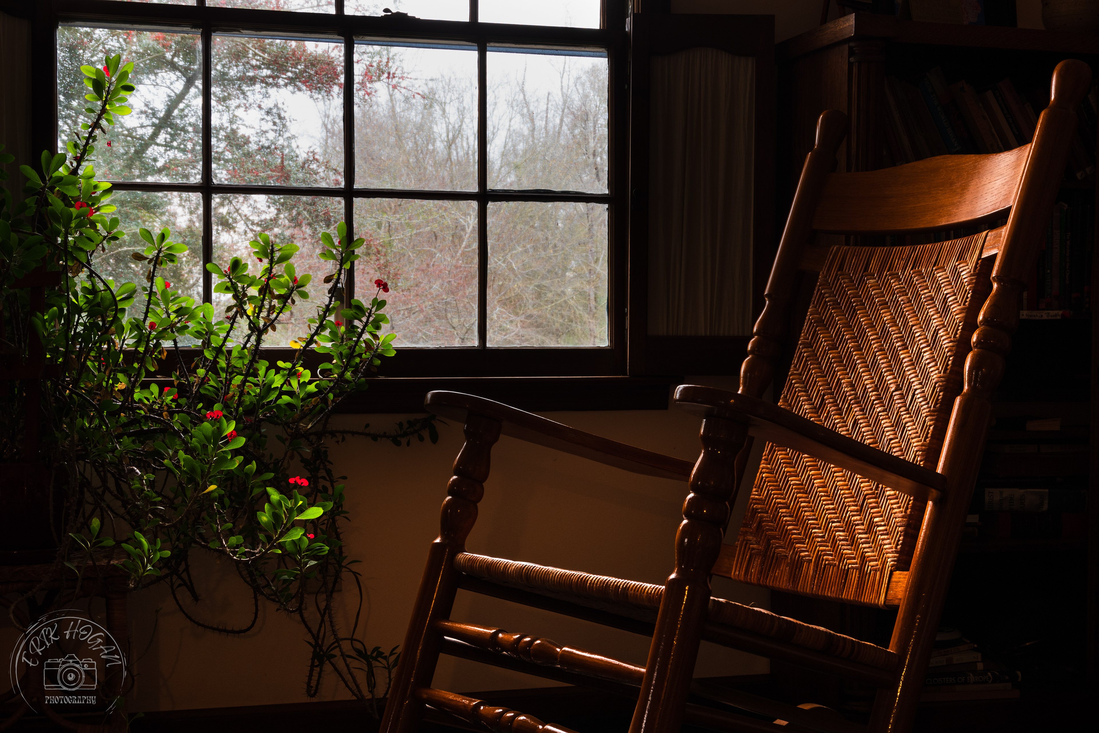 Green Bough House of Prayer January 2024   VII