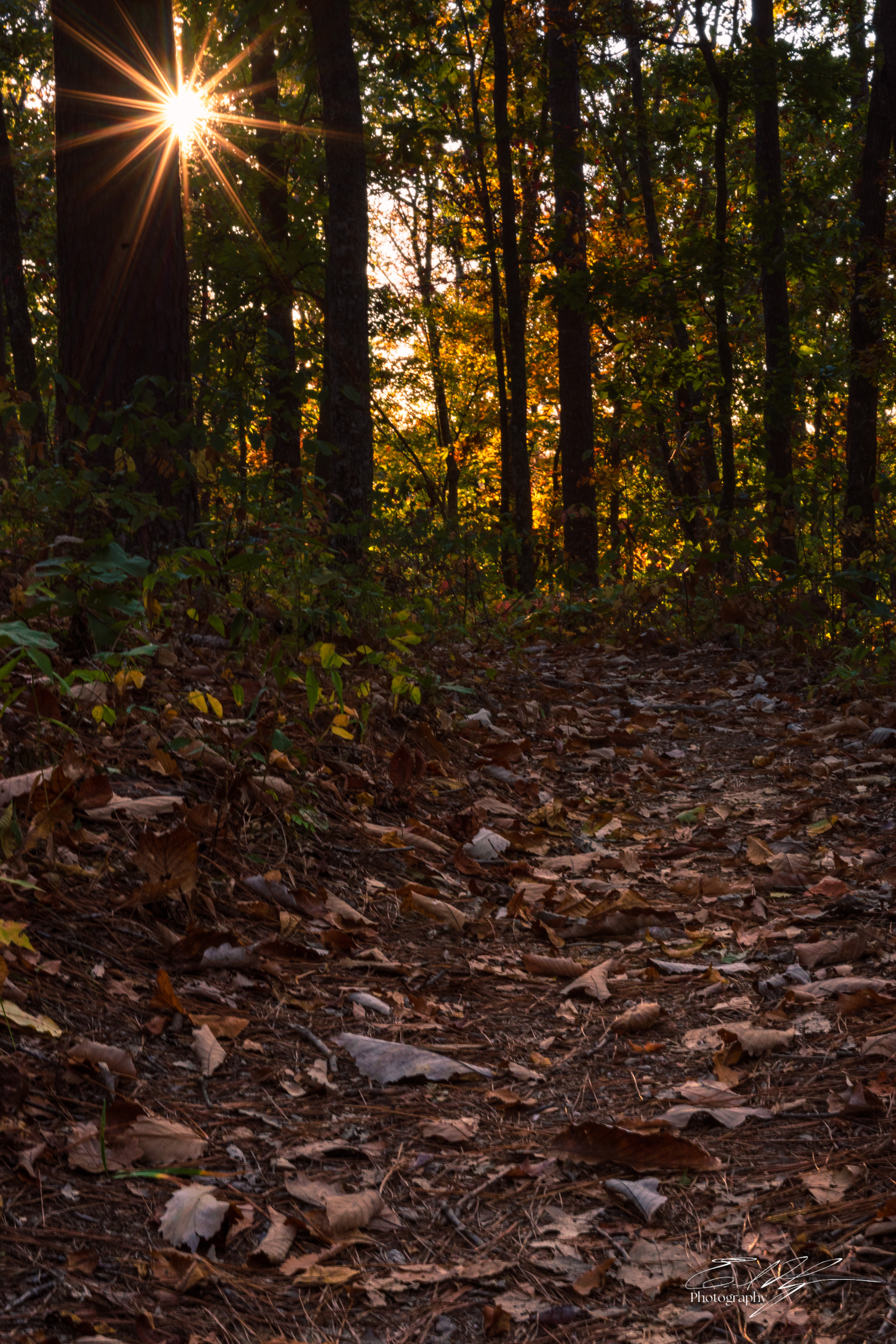 Pin-Chin-Sky Loop November 2024   XVIII