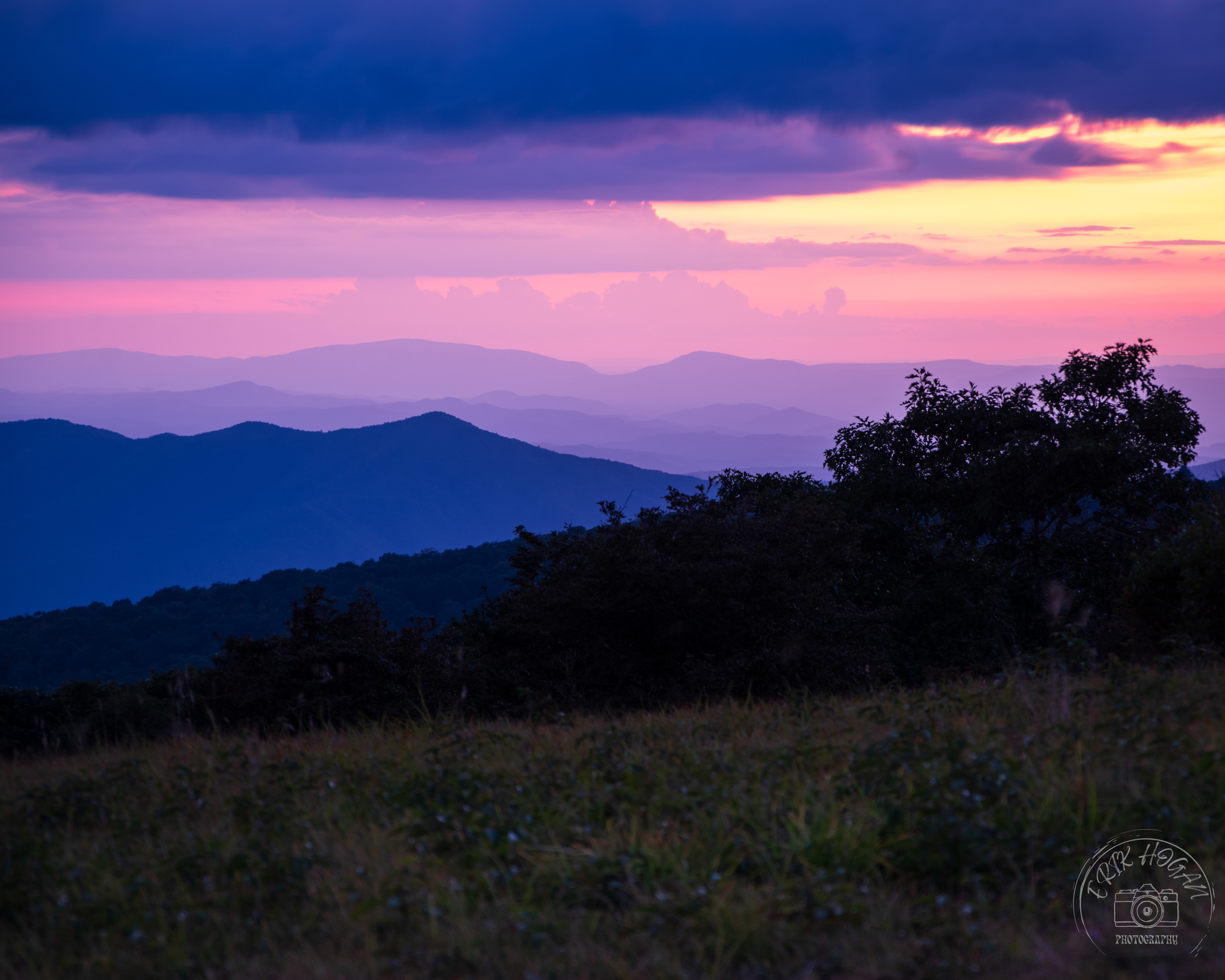 Gregory Bald September 2023   VIII