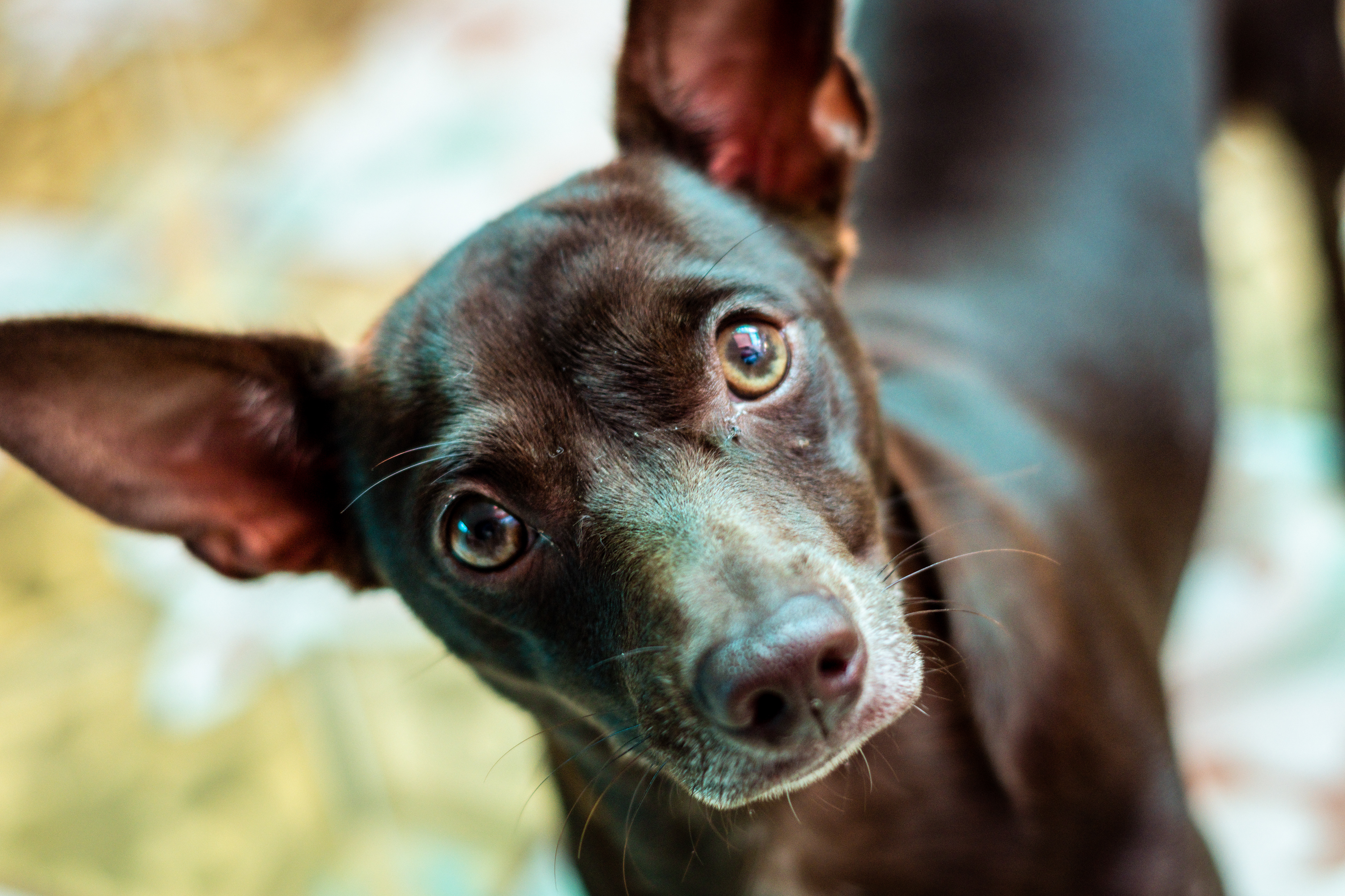 Hotel Kevin July 2021   III