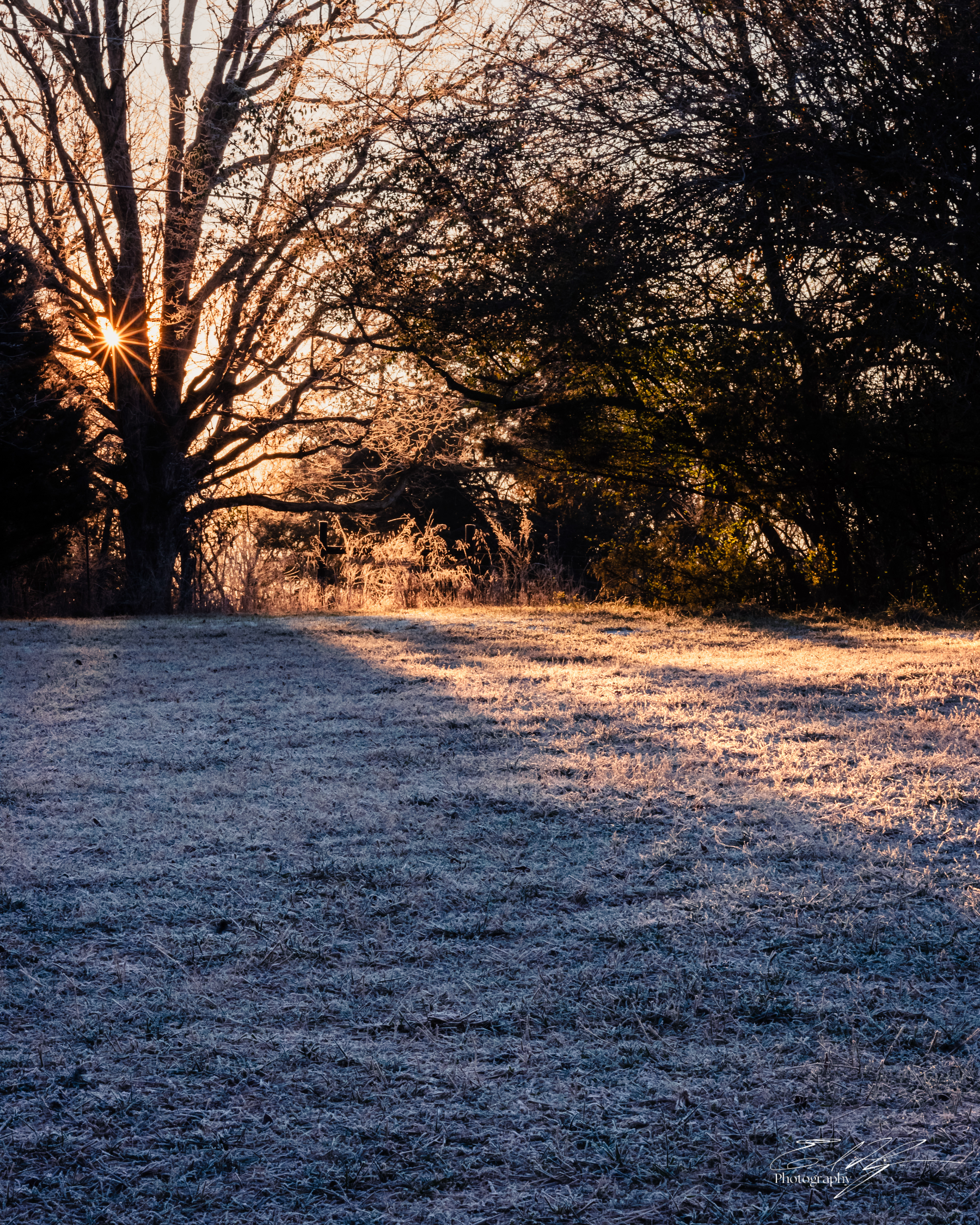 Frosty Sunrise January 2025   III
