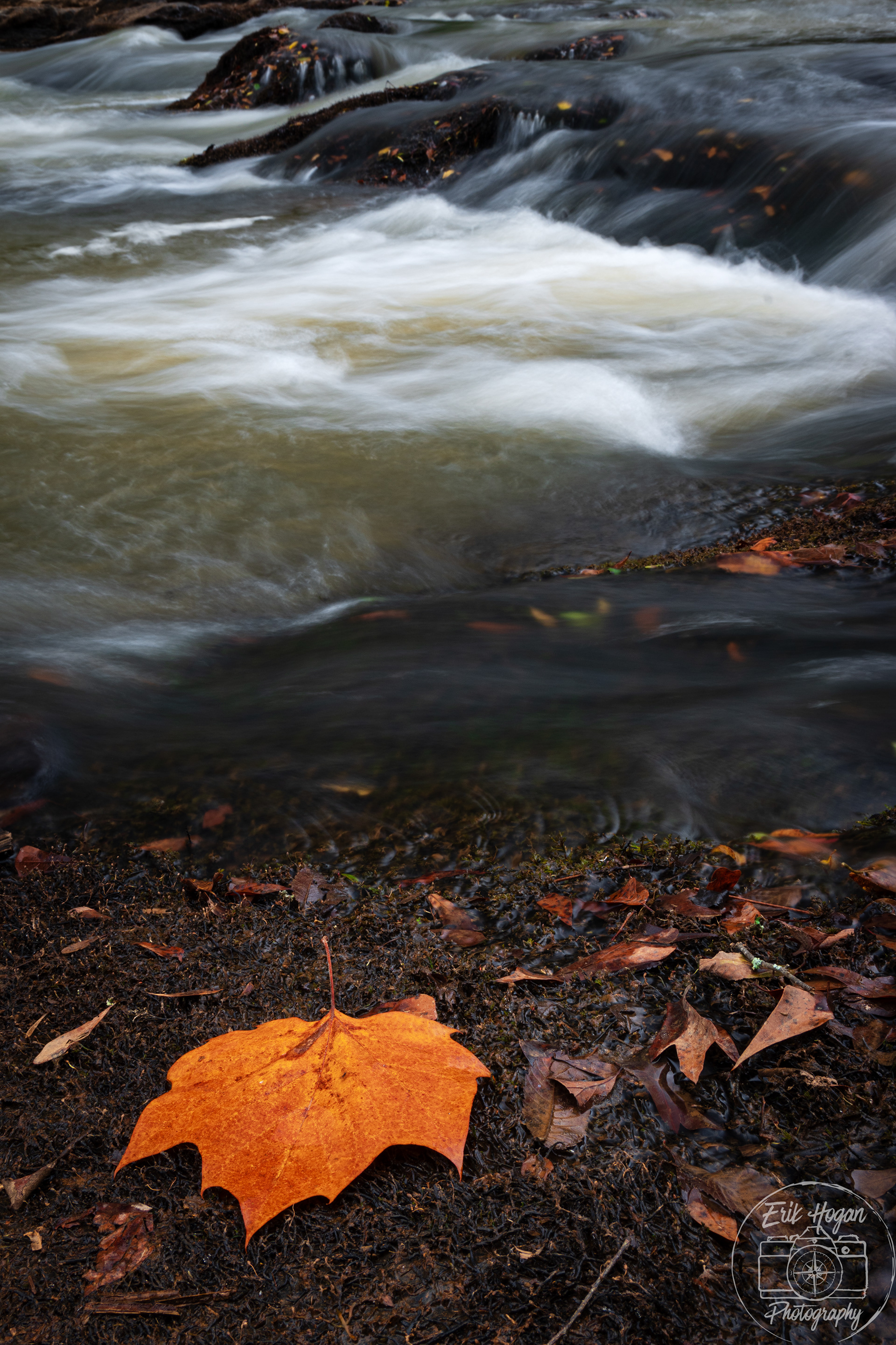 Ben Burton Park September 2024   IV