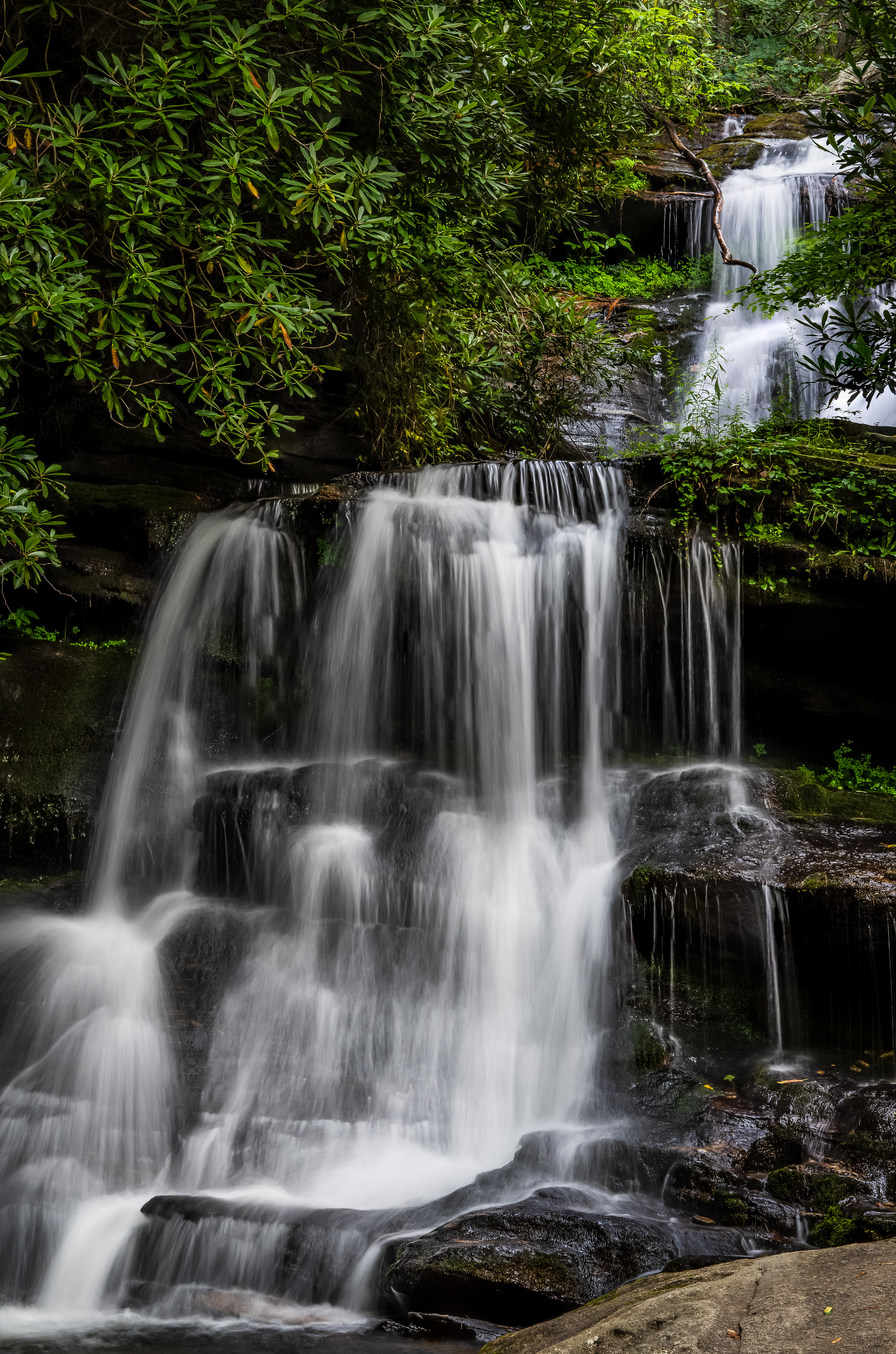 Martin Creek Falls July 2021   I
