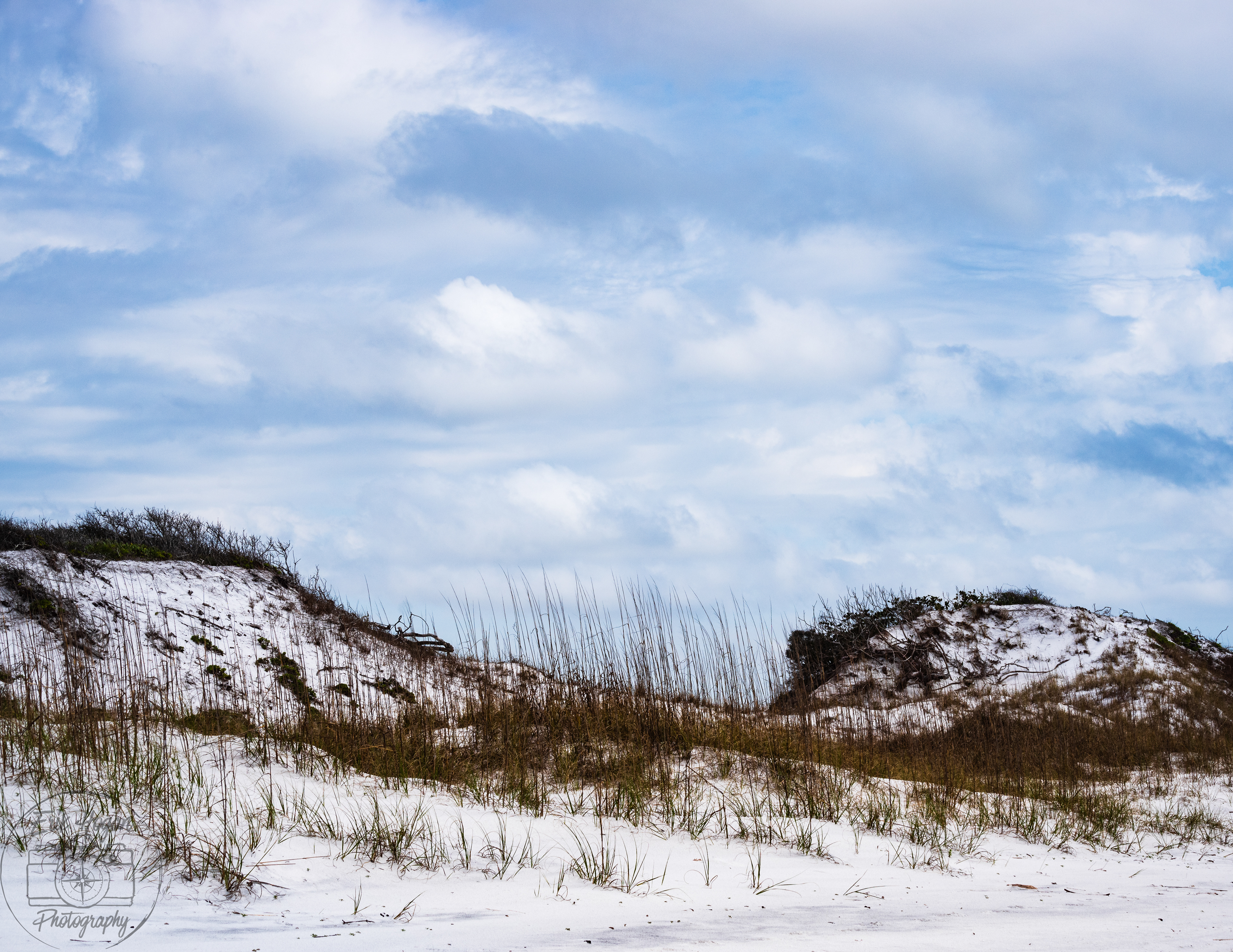 Topsail Hill Preserve State Park March 2024   VII