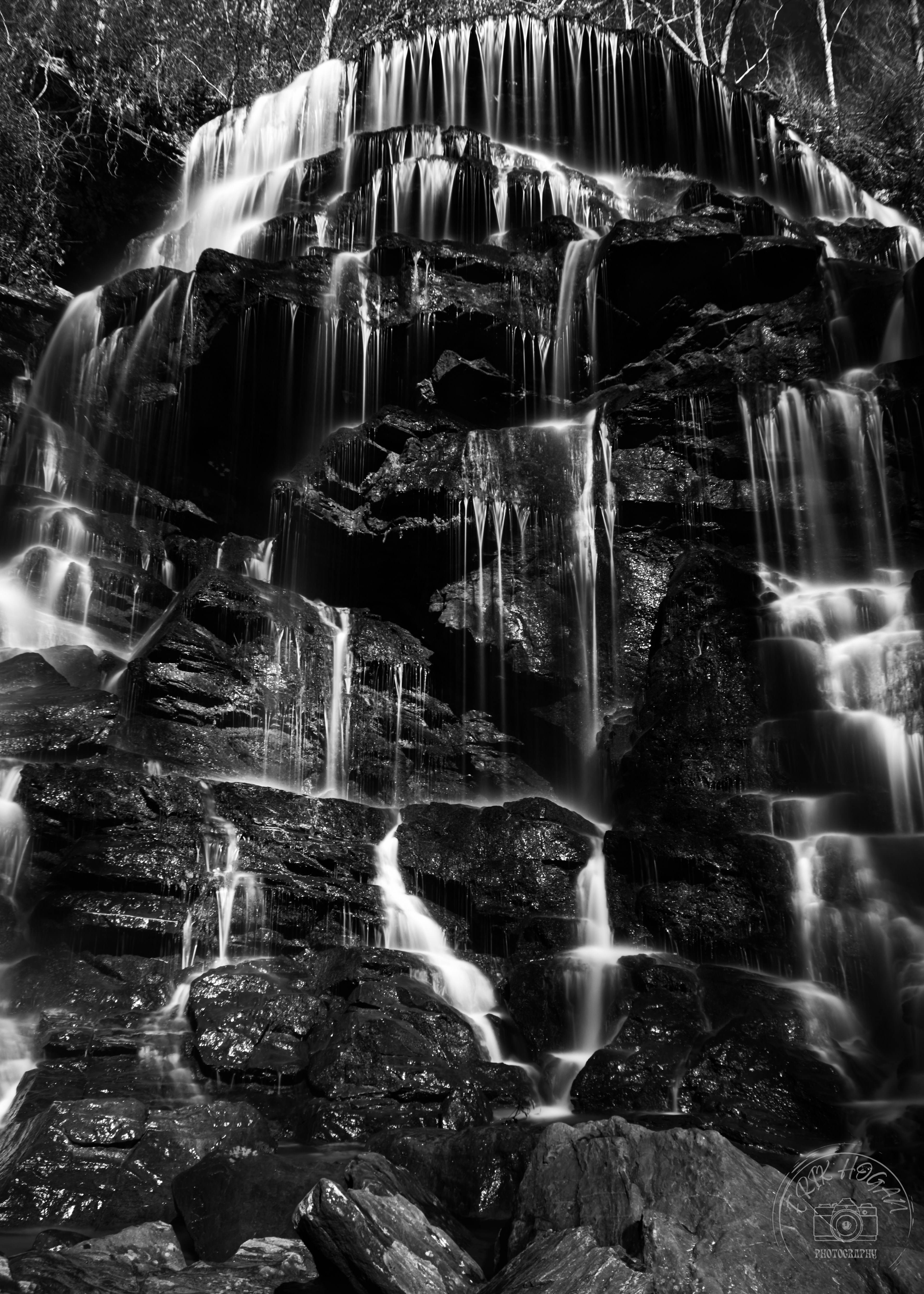 Yellow Branch Falls February 2023   VII