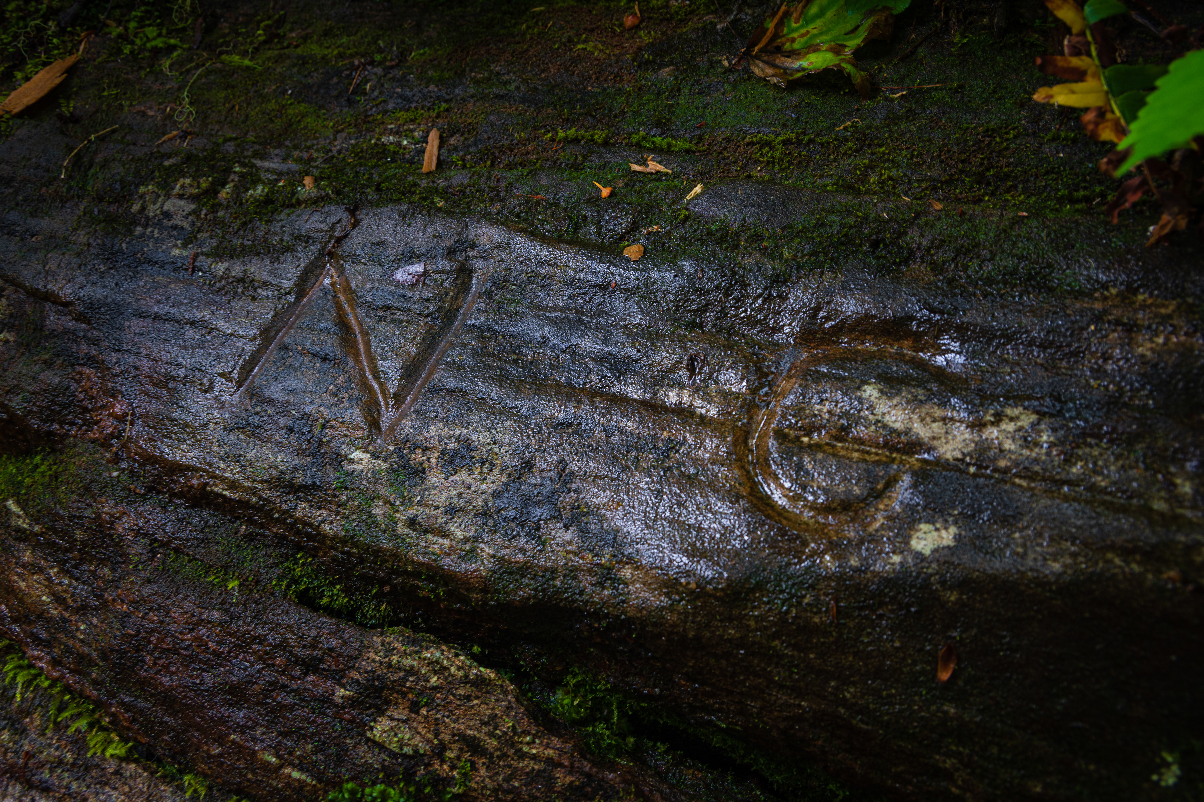 Ellicott Rock July 2022