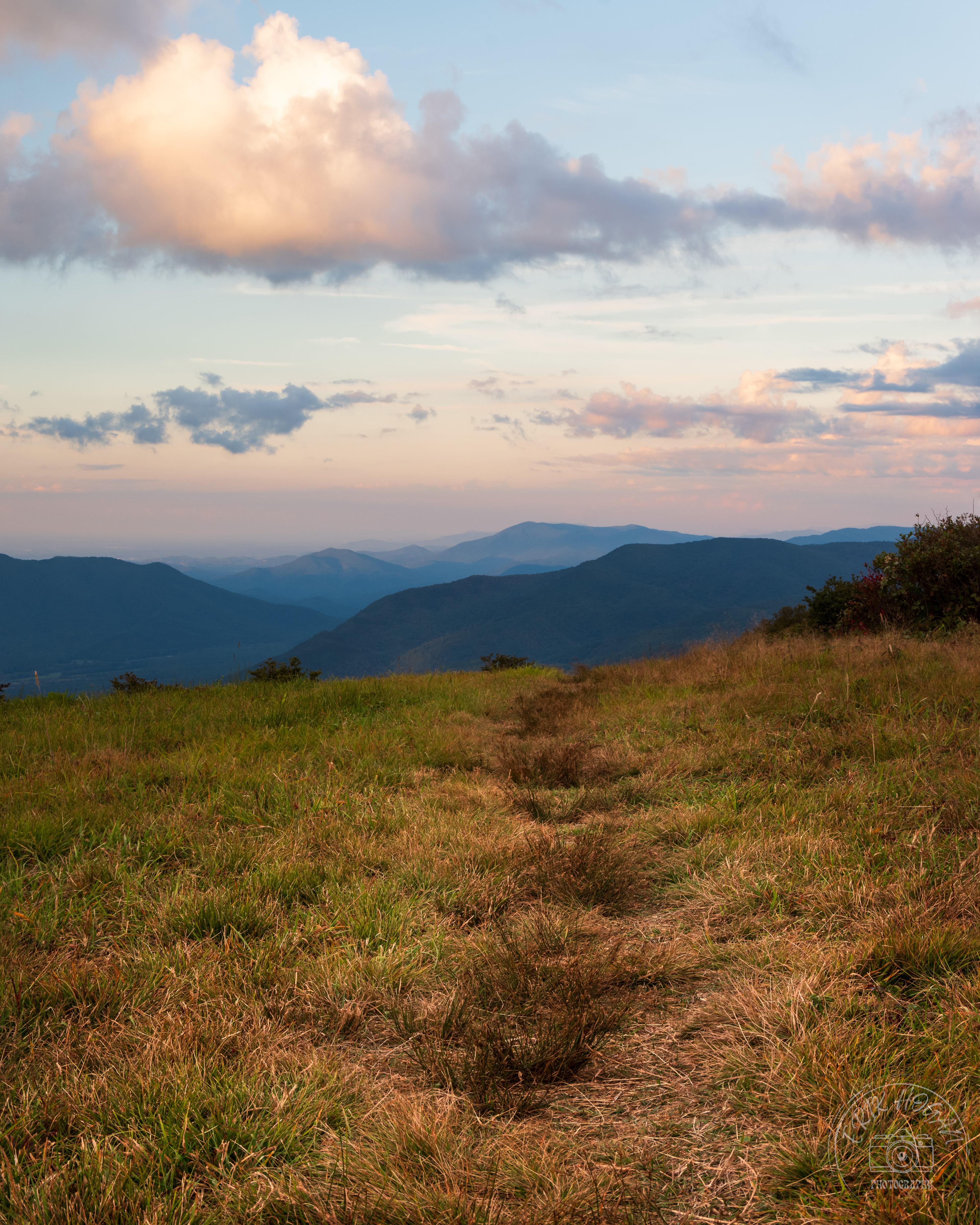 Gregory Bald September 2023   V