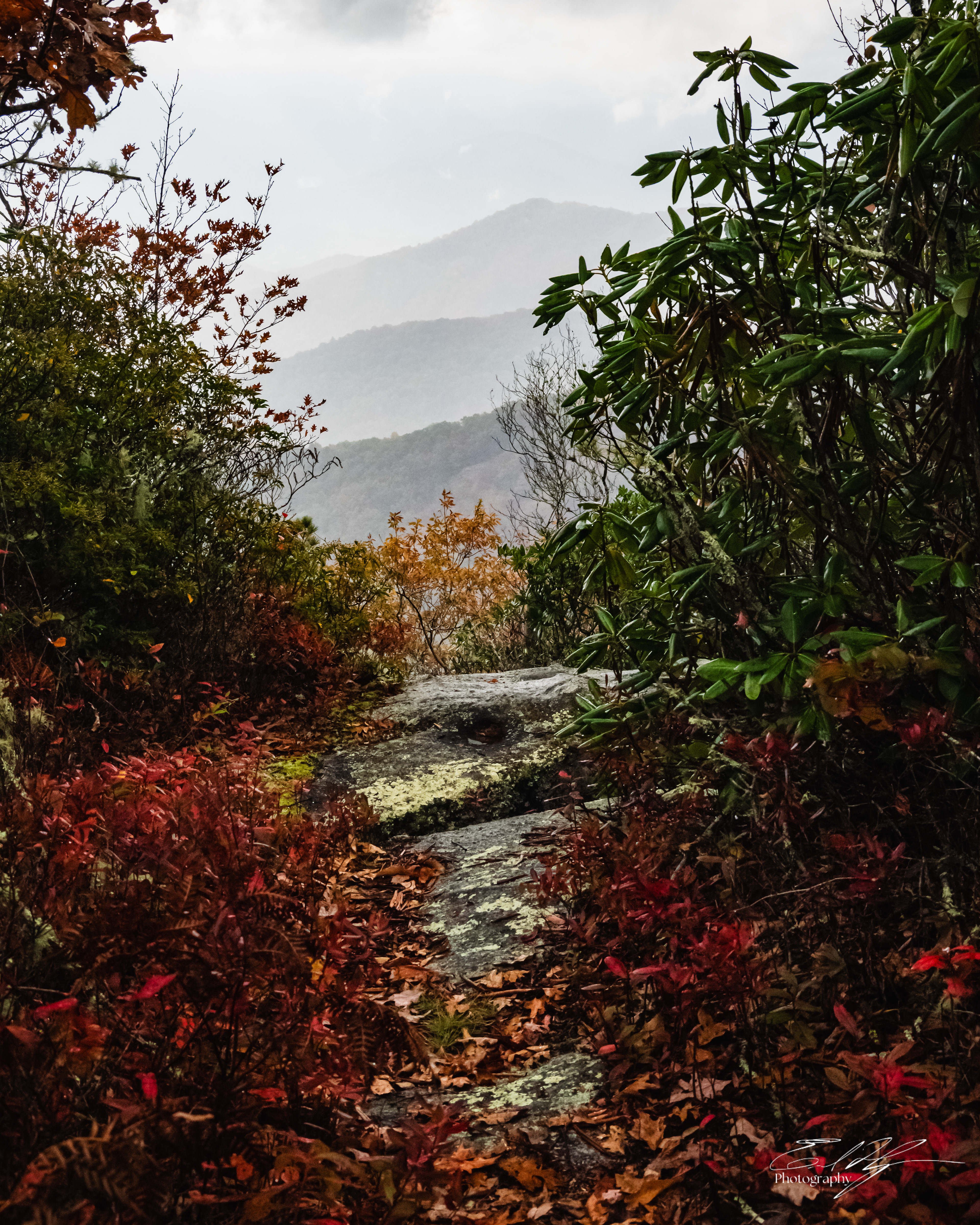 Day 3  Fishhawk Mountains