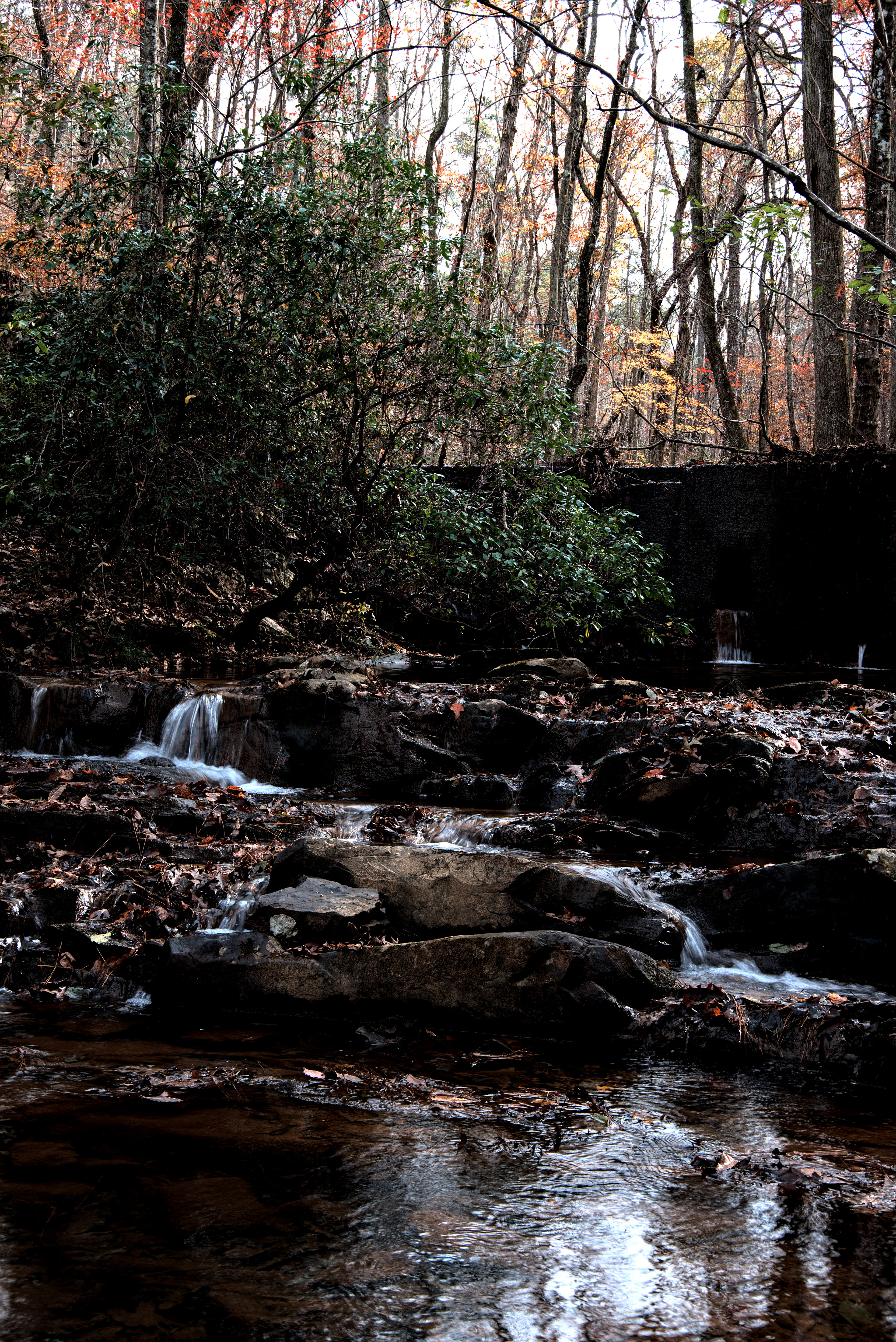 Pinhoti Trail November 2020   I