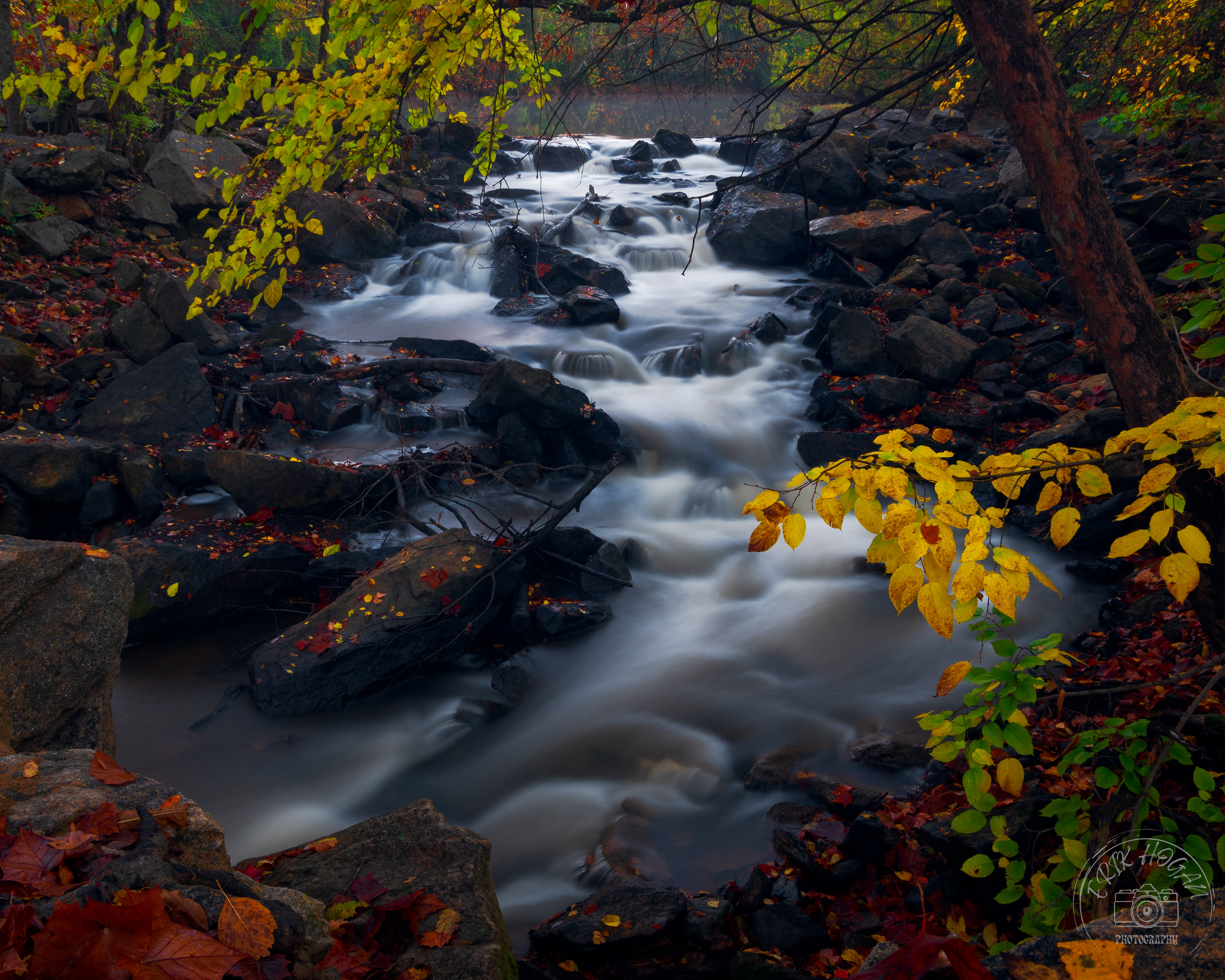 Easley's Mill November 2022