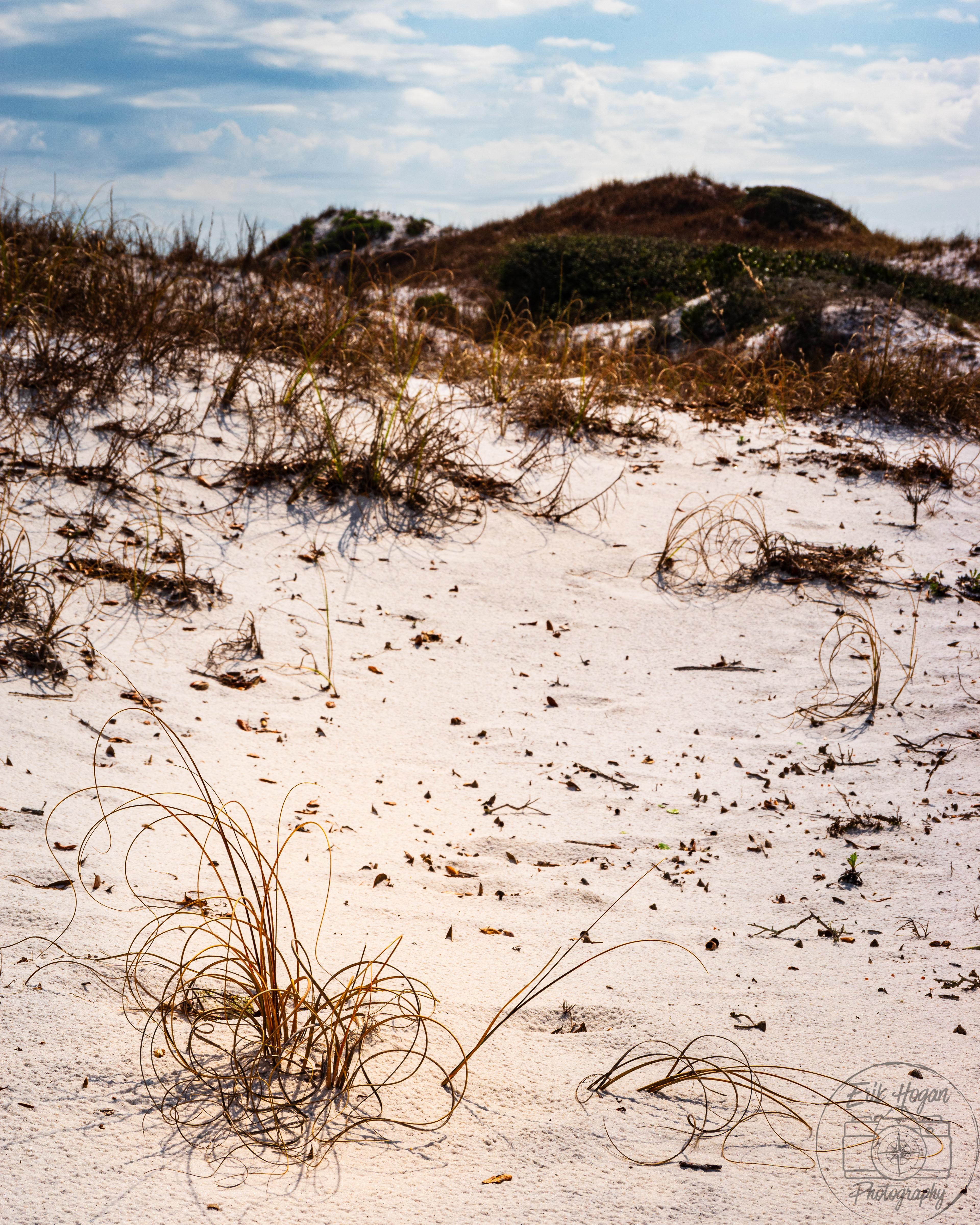 Topsail Hill Preserve State Park March 2024   III