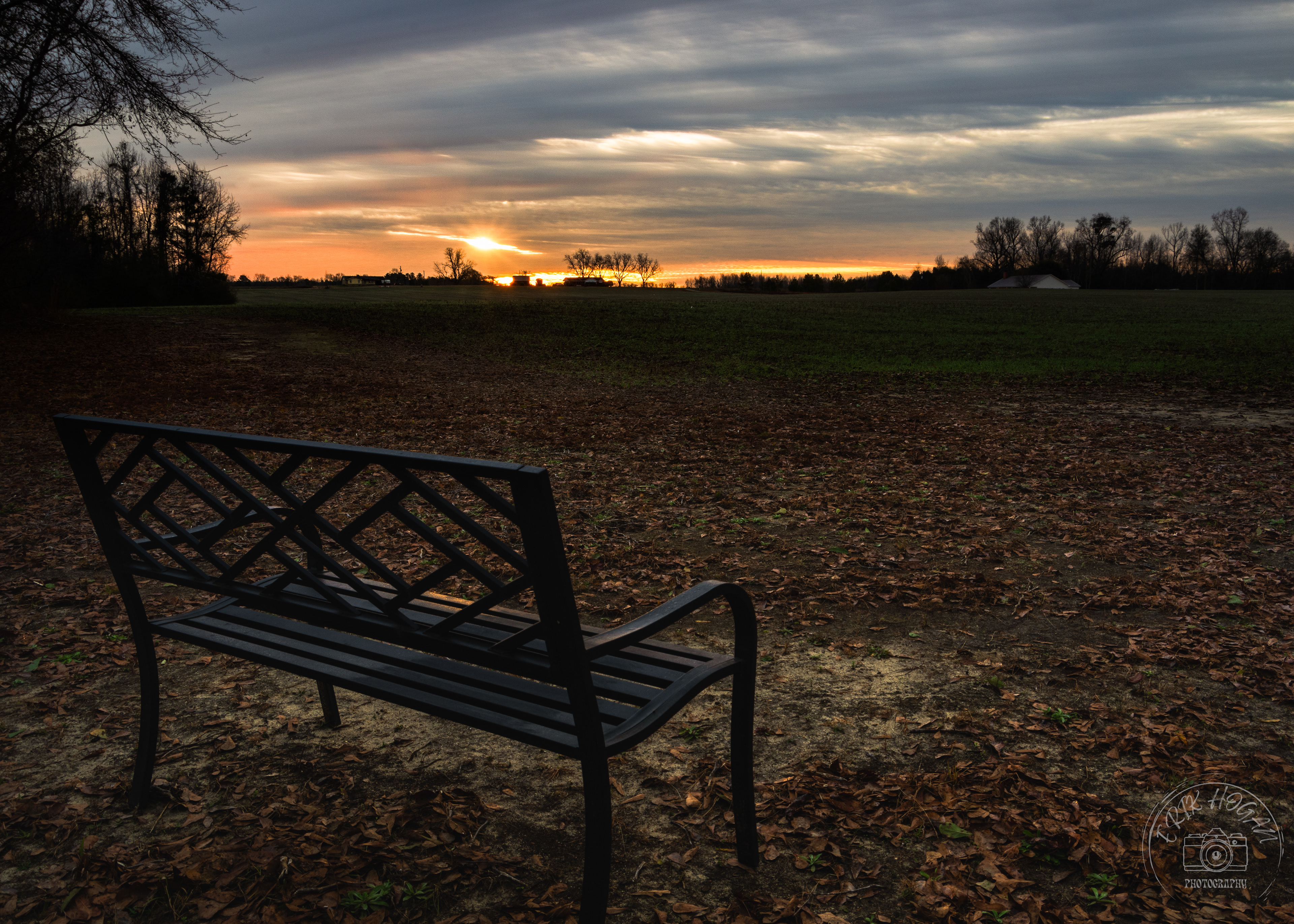 Green Bough House of Prayer January 2024   IV