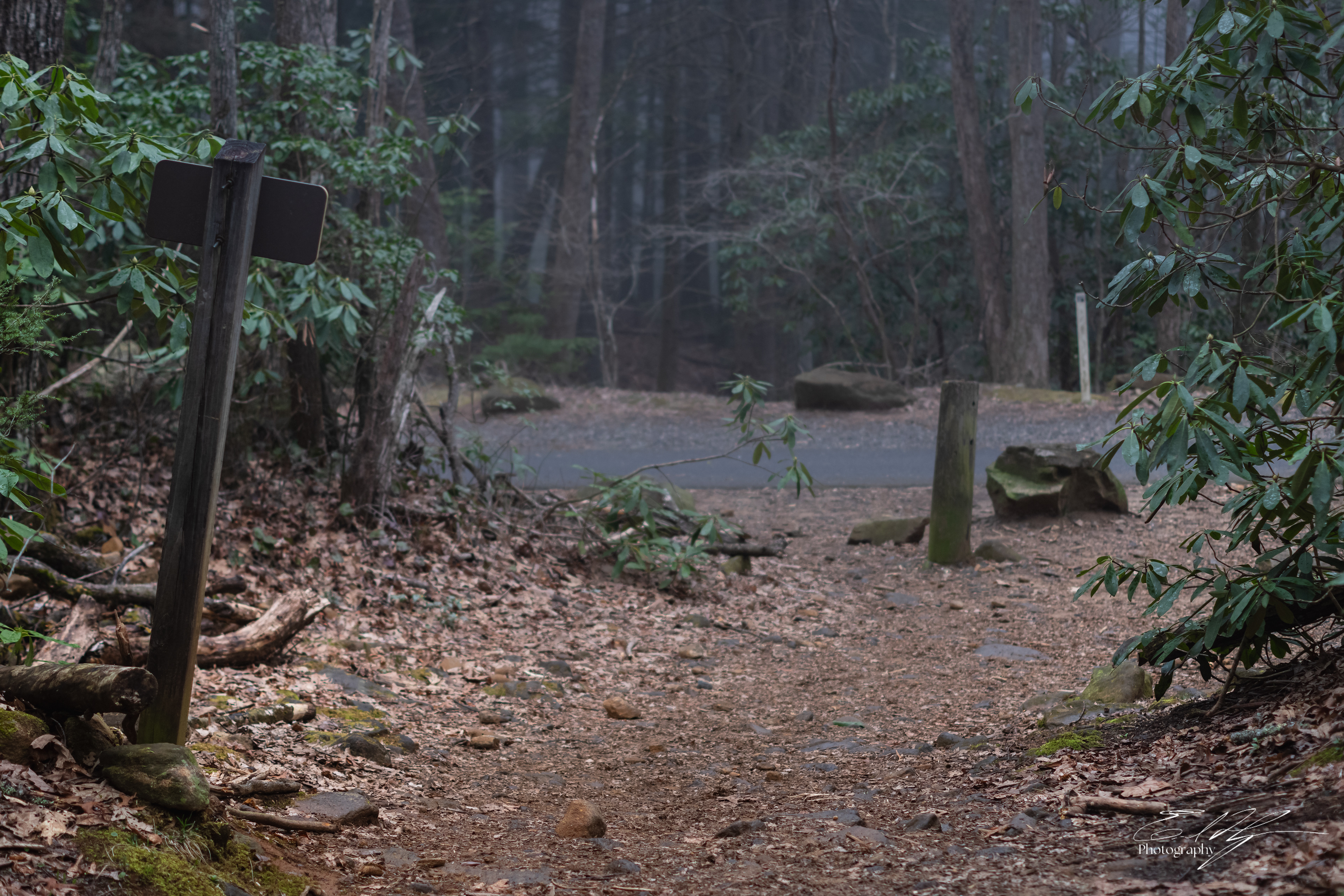 Early Spring 2025   XXVI