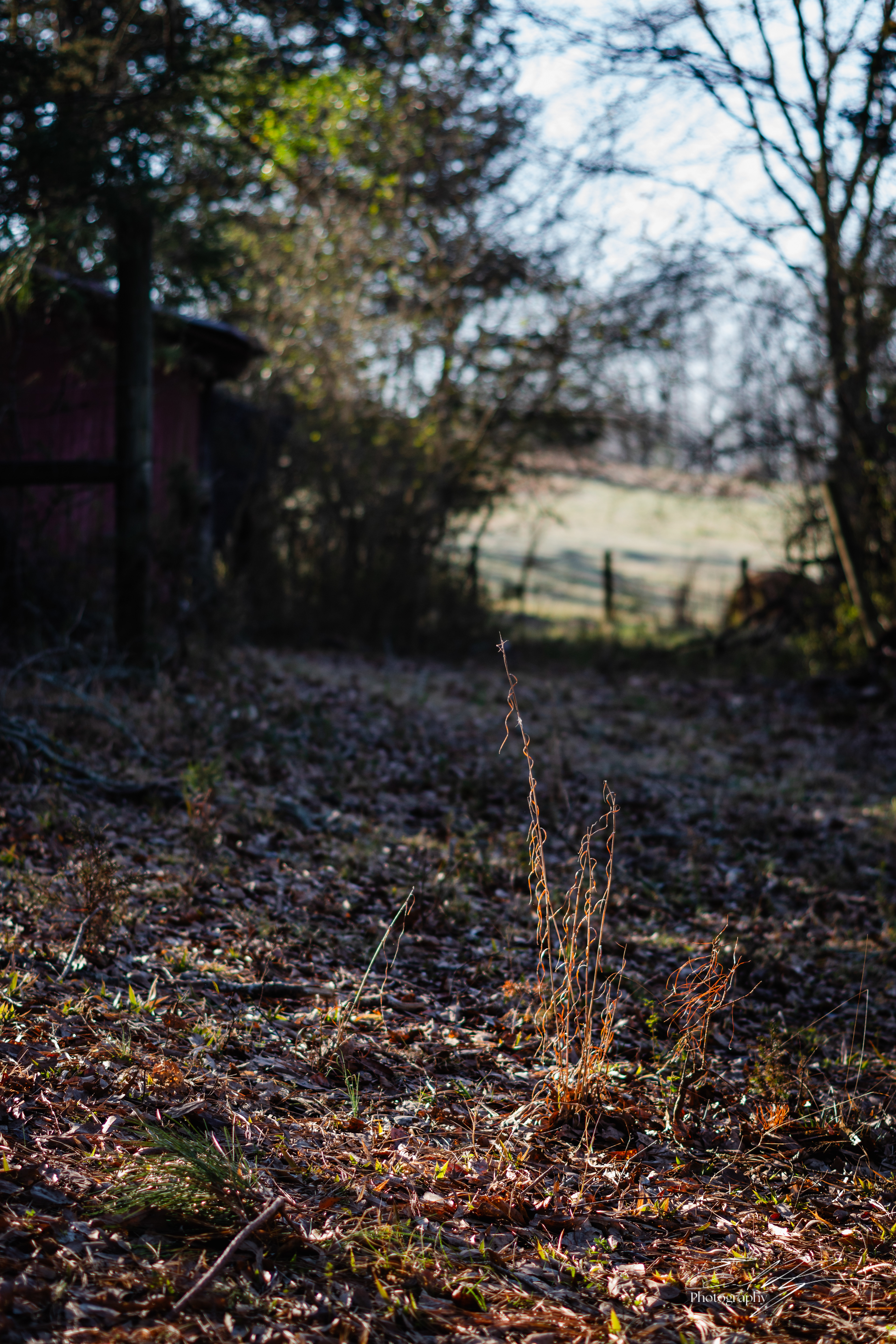 Wabi Sabi Stoic February 2025   III