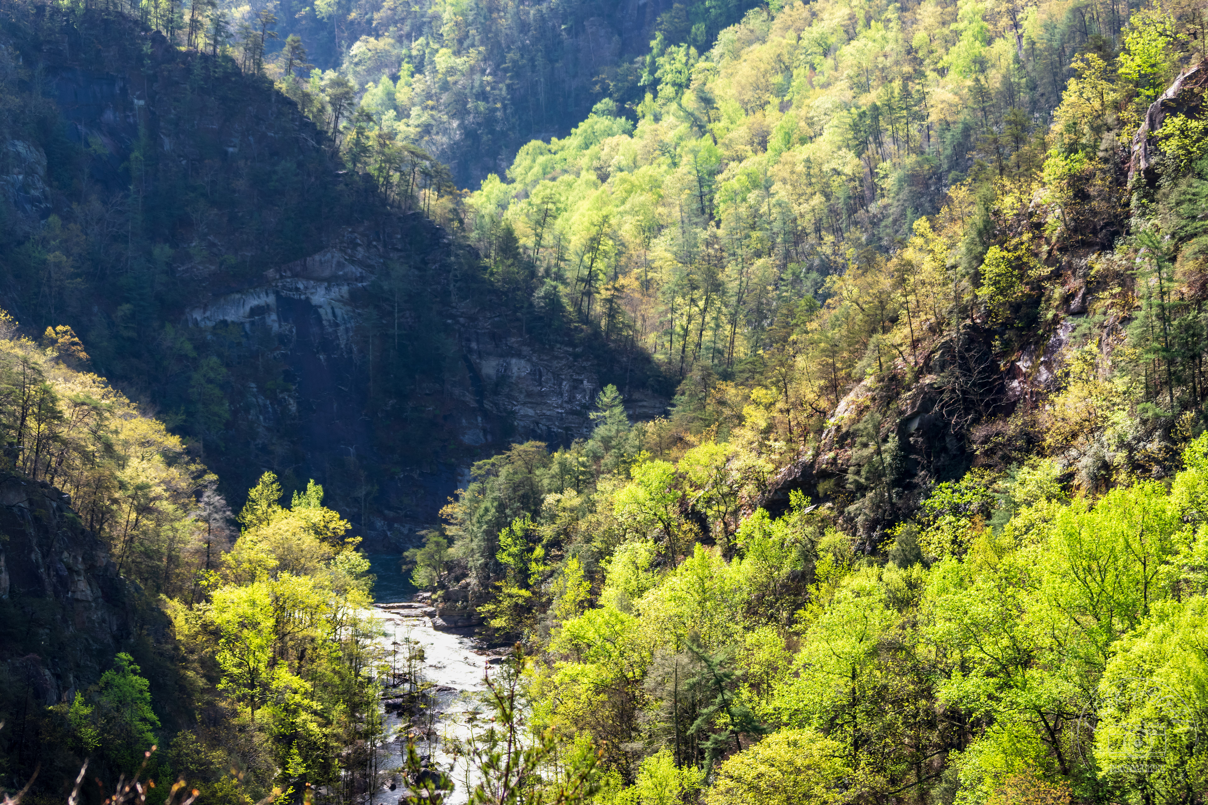 Tallulah Gorge April 2023   IV