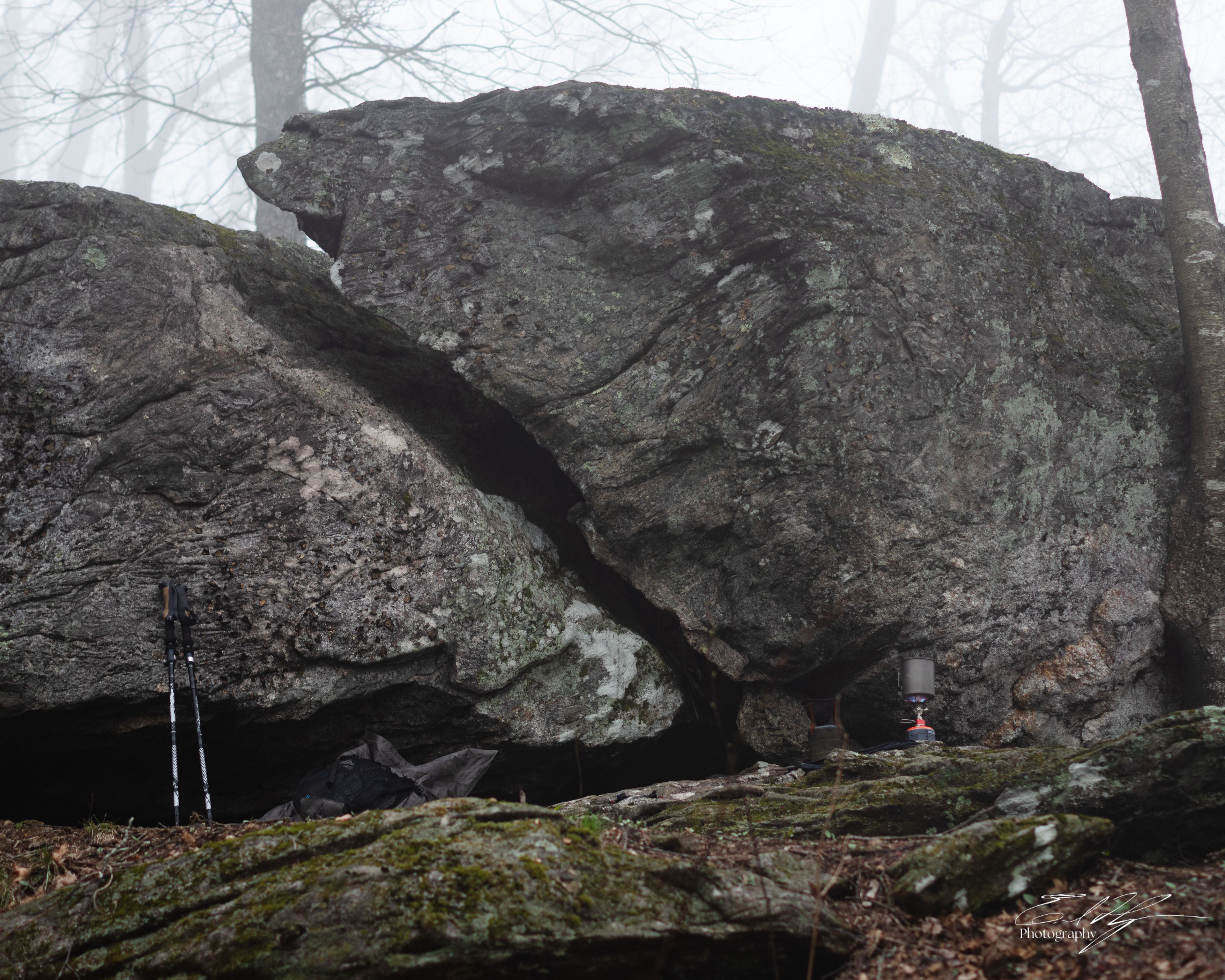 Early Spring 2025   XVIII