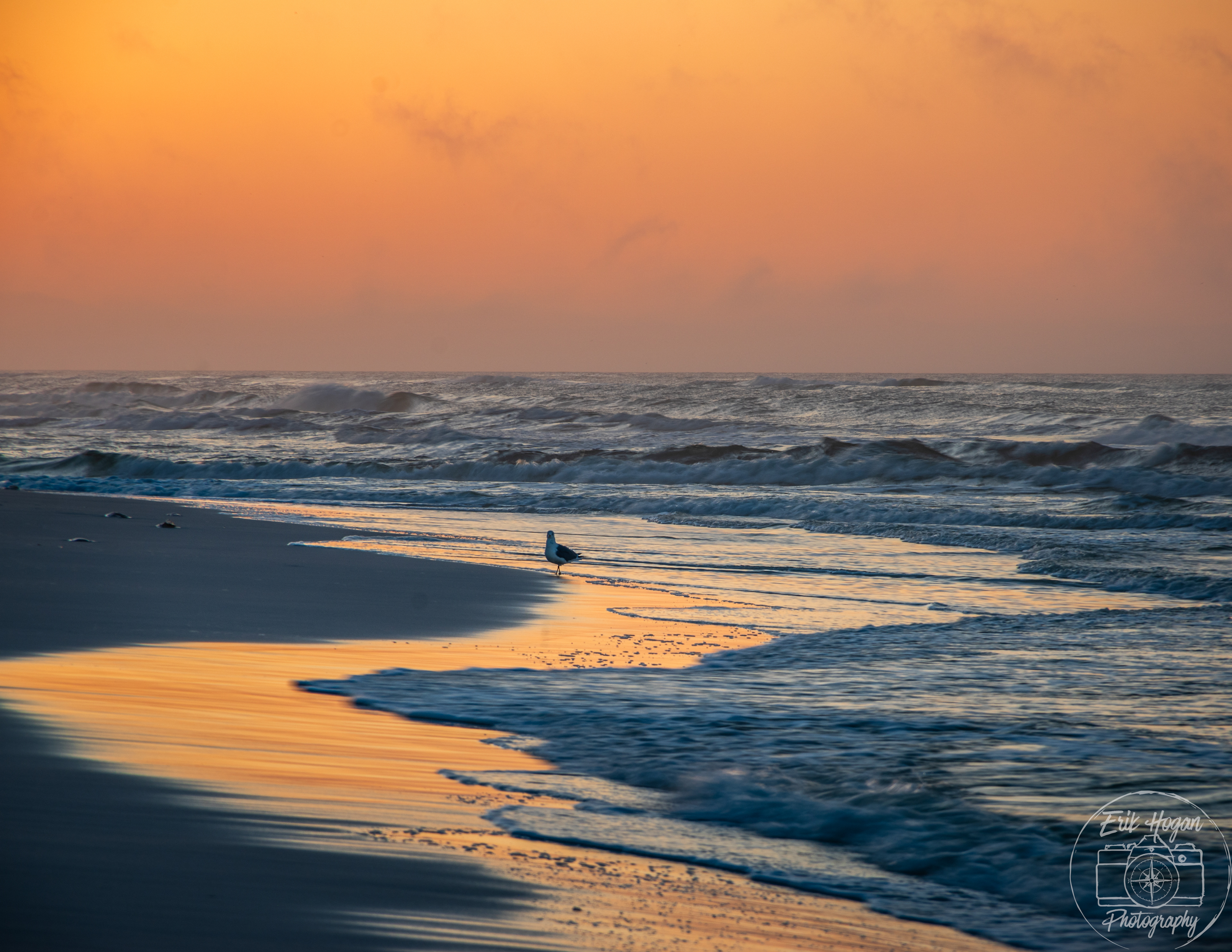 Miramar Beach March 2024   XIII