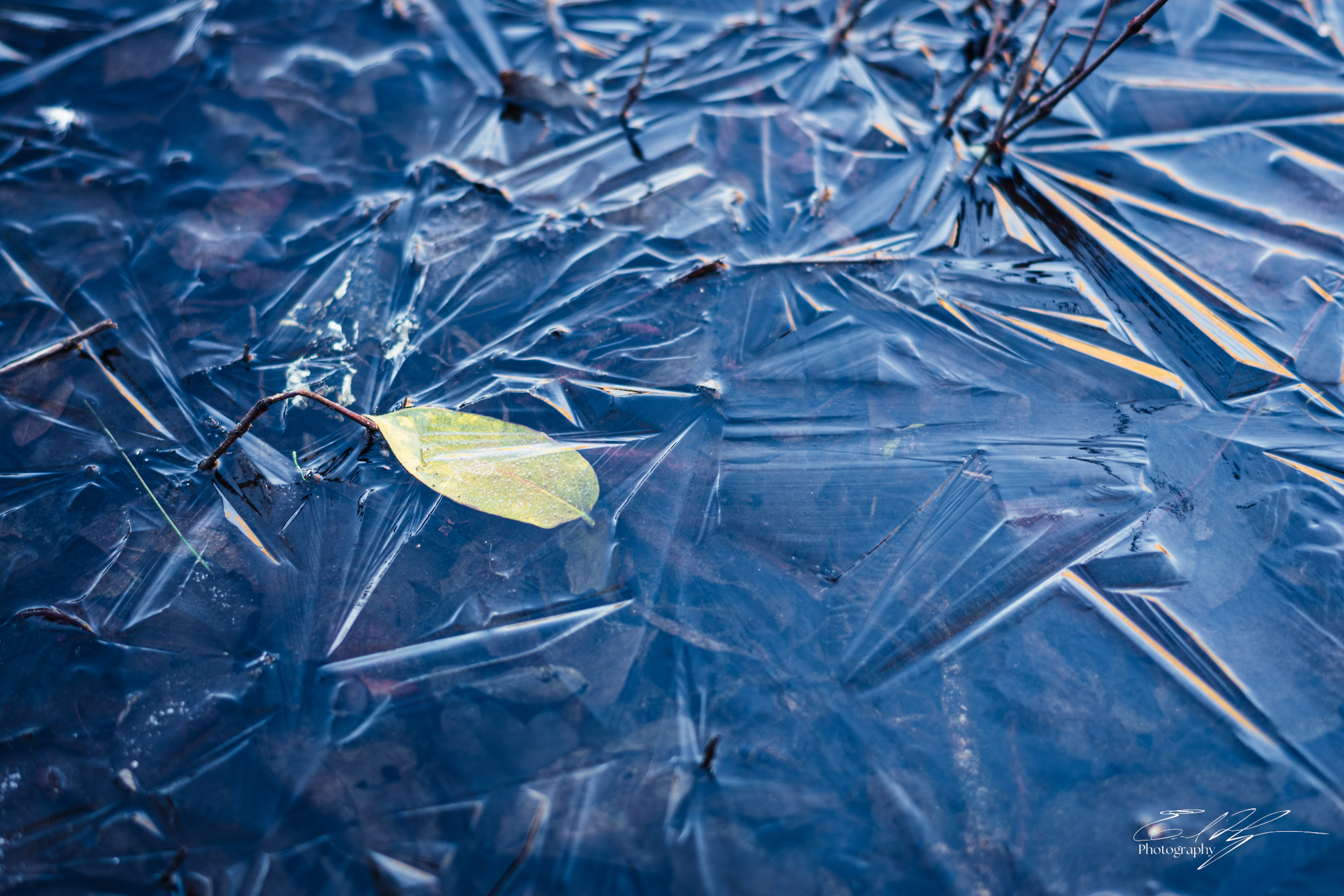 Sandy Creek Ice Portrait   IX