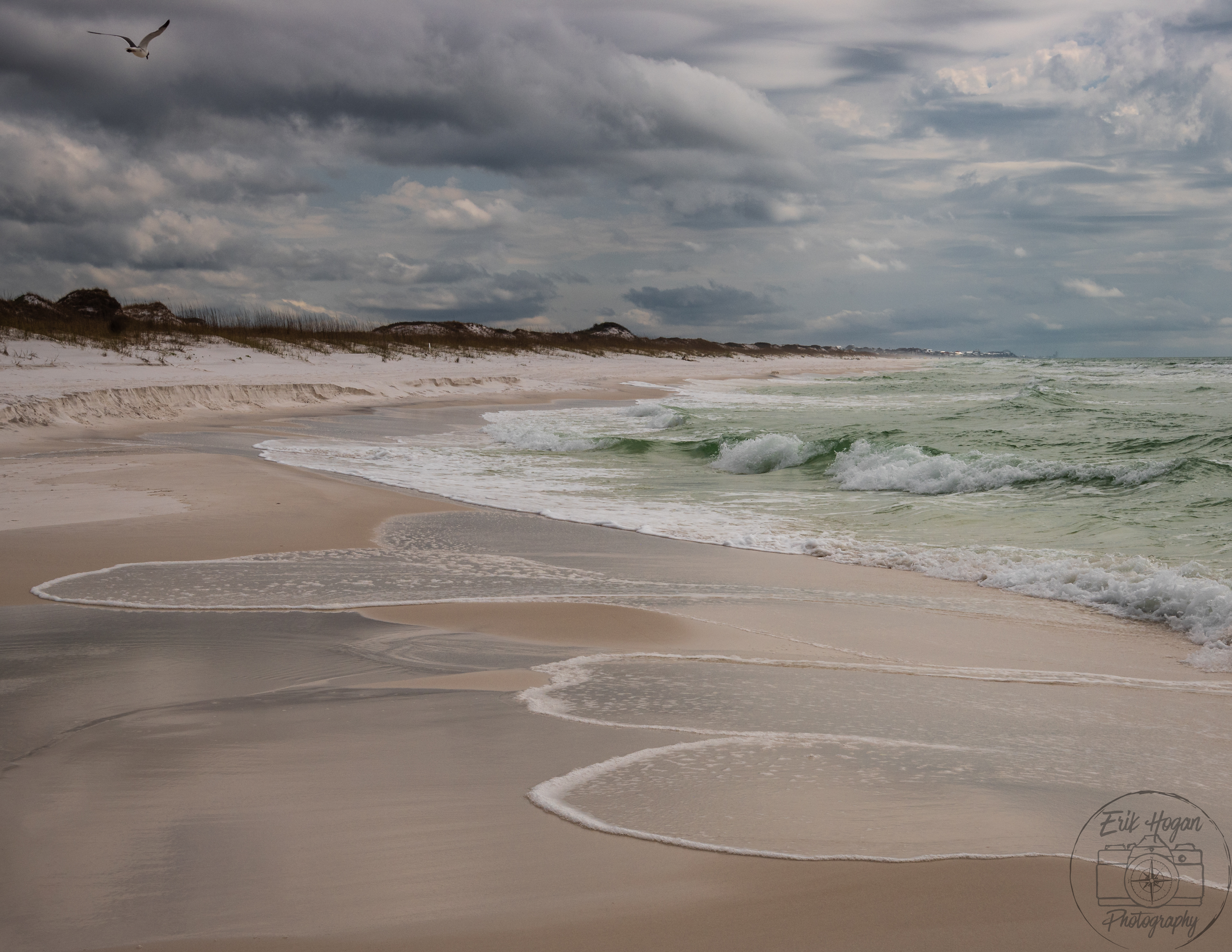 Topsail Hill Preserve State Park March 2024   IV