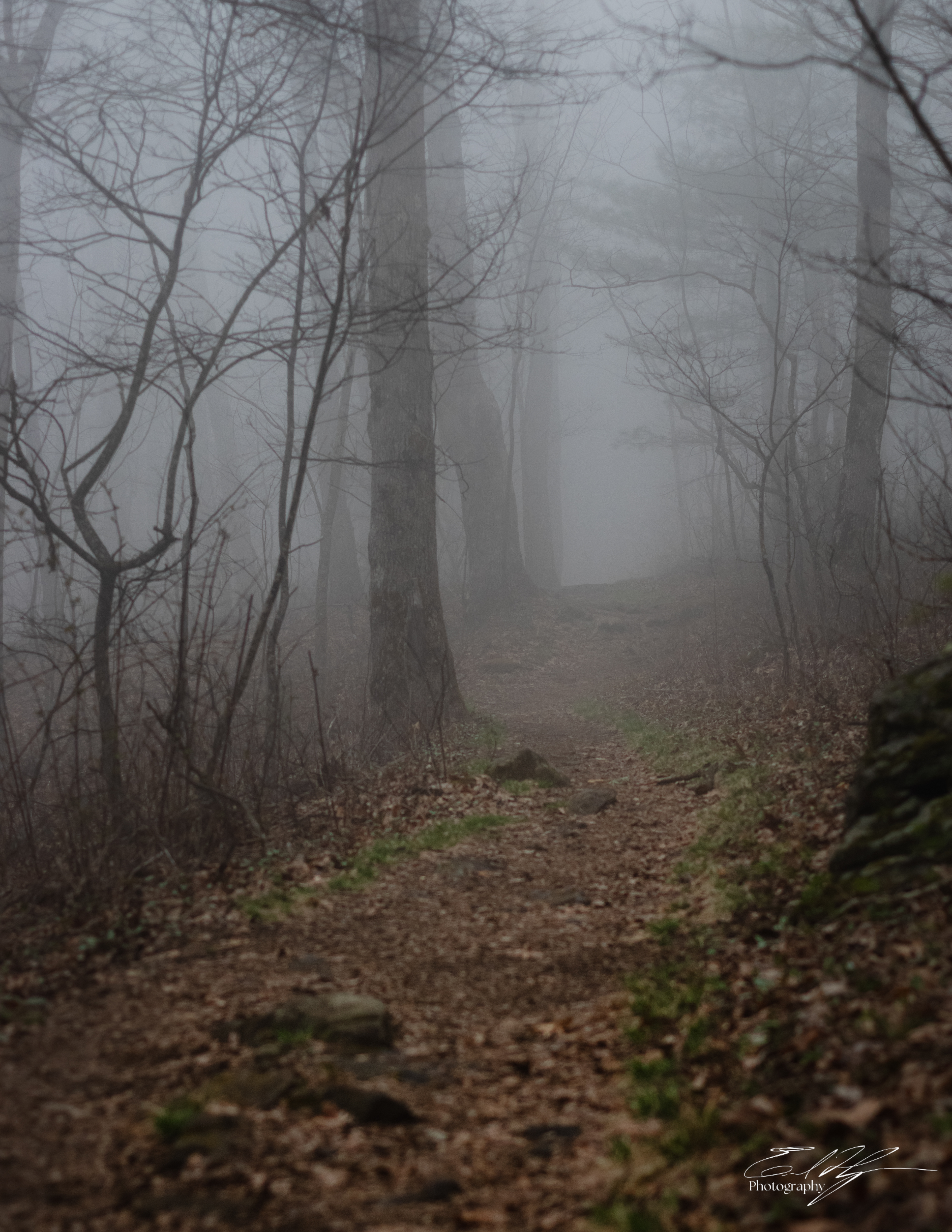 Appalachian Trail 2025   XII