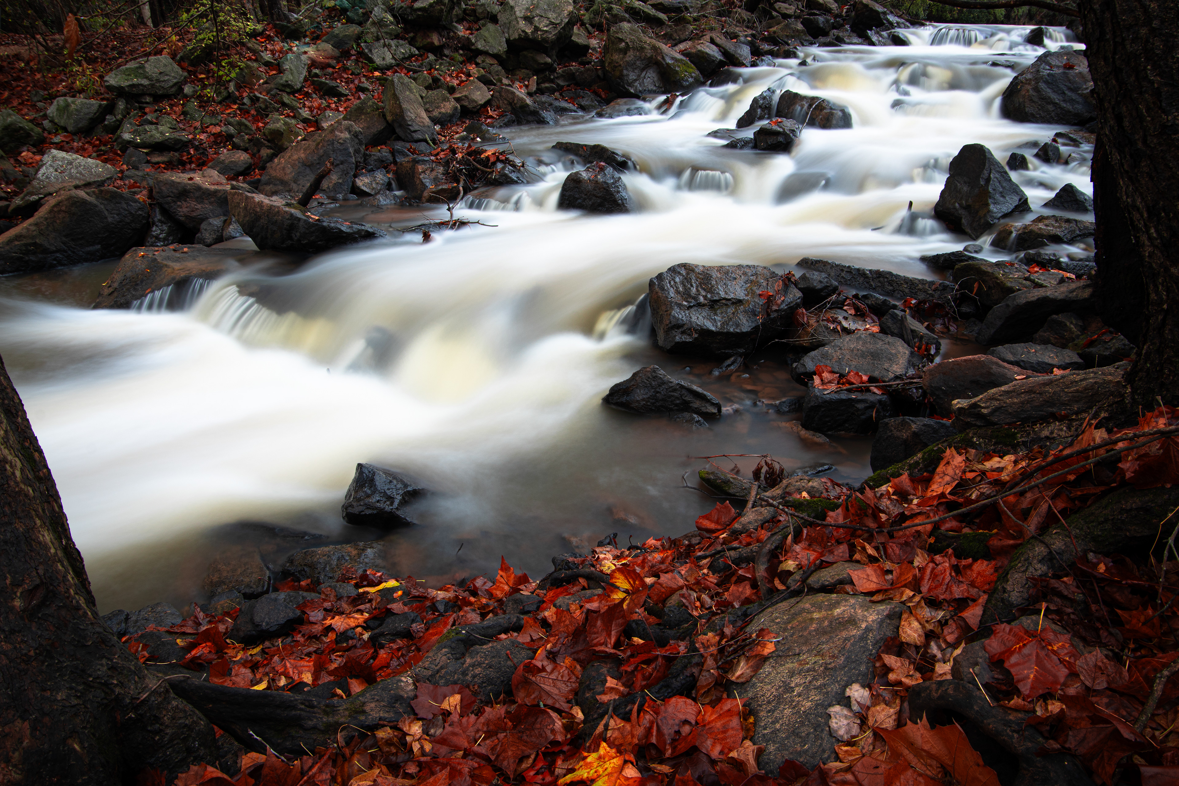 Easley's Mill November 2023