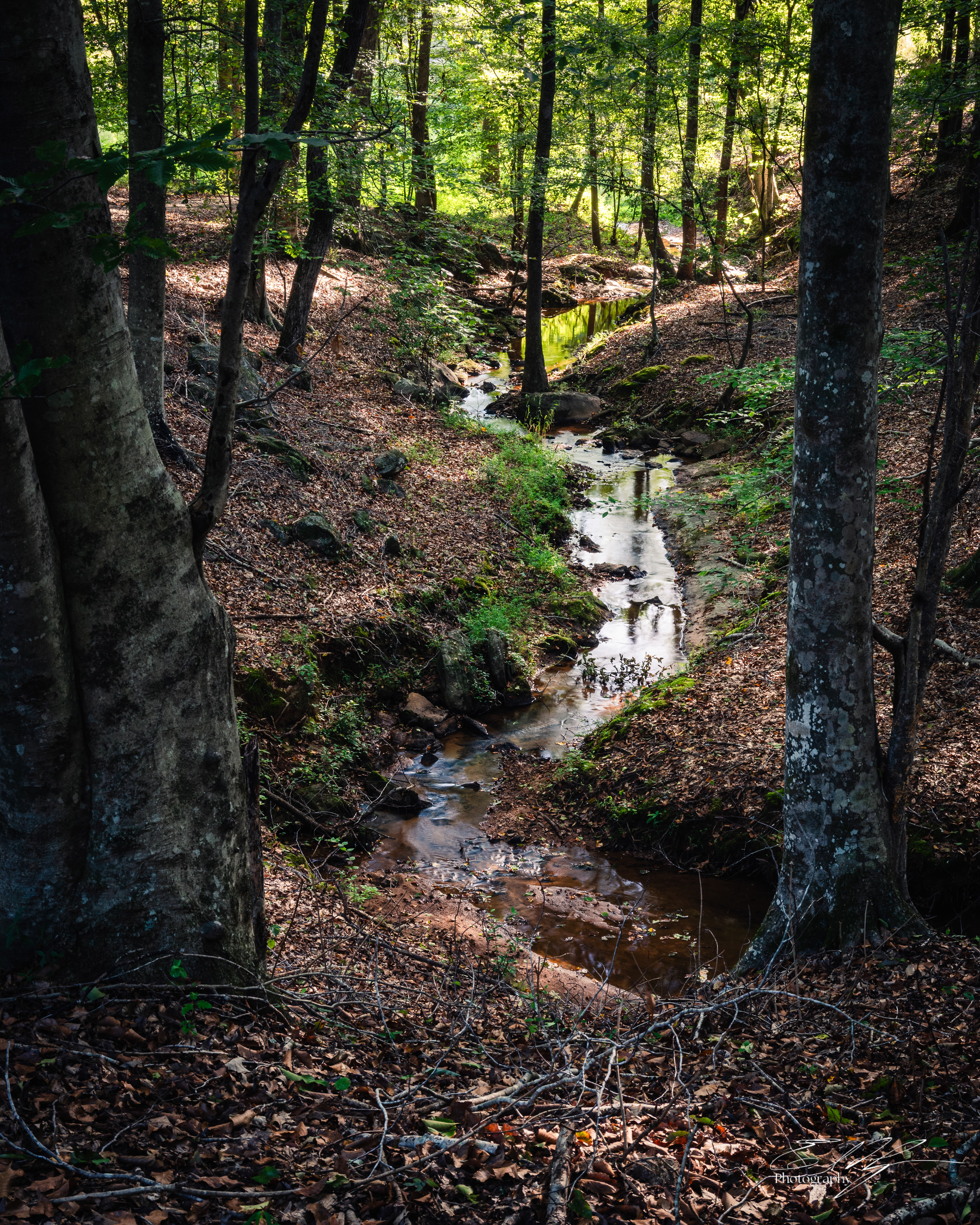 Thomas Farm Preserve September 2025  IV