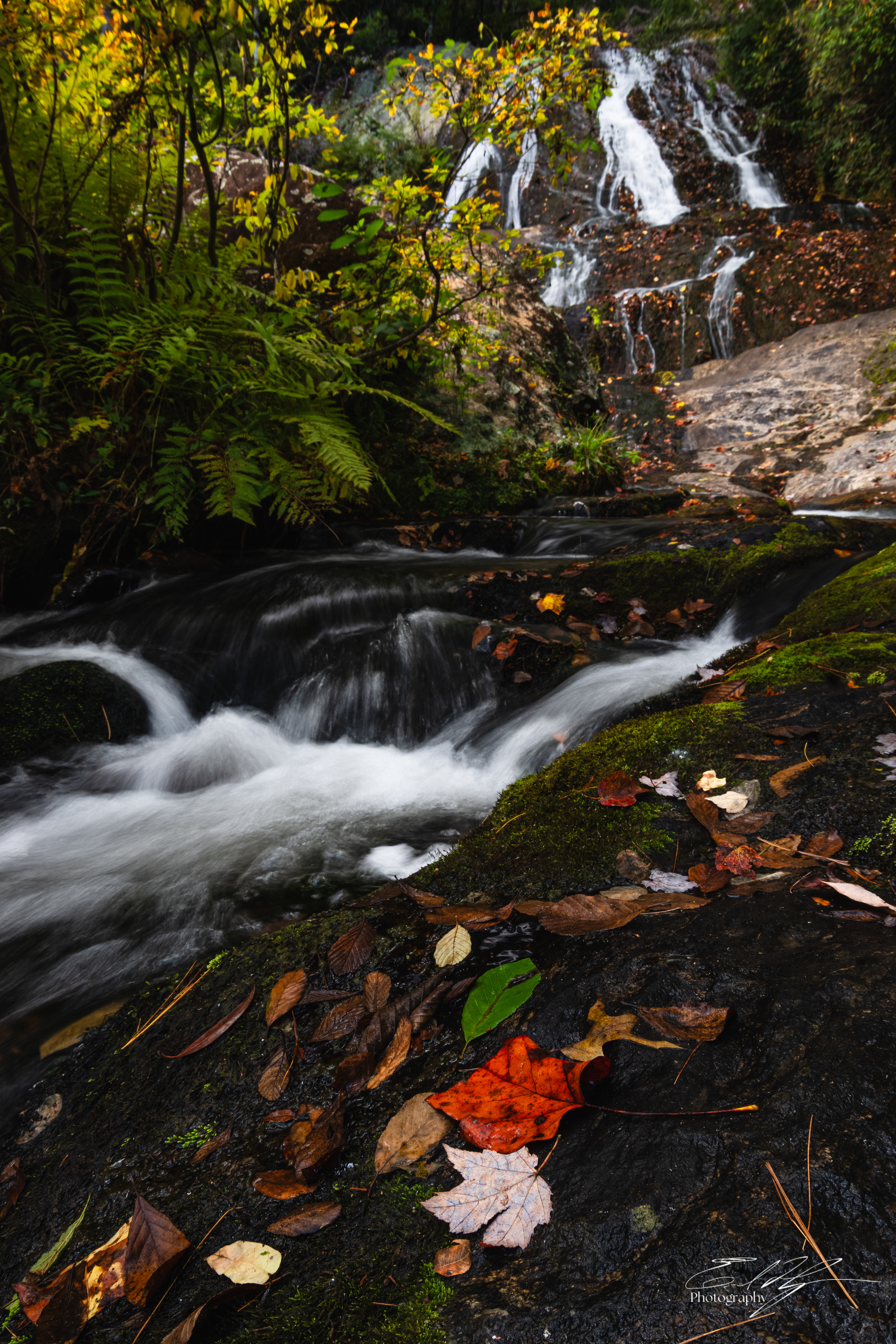 Day 1  Dick's Creek Falls