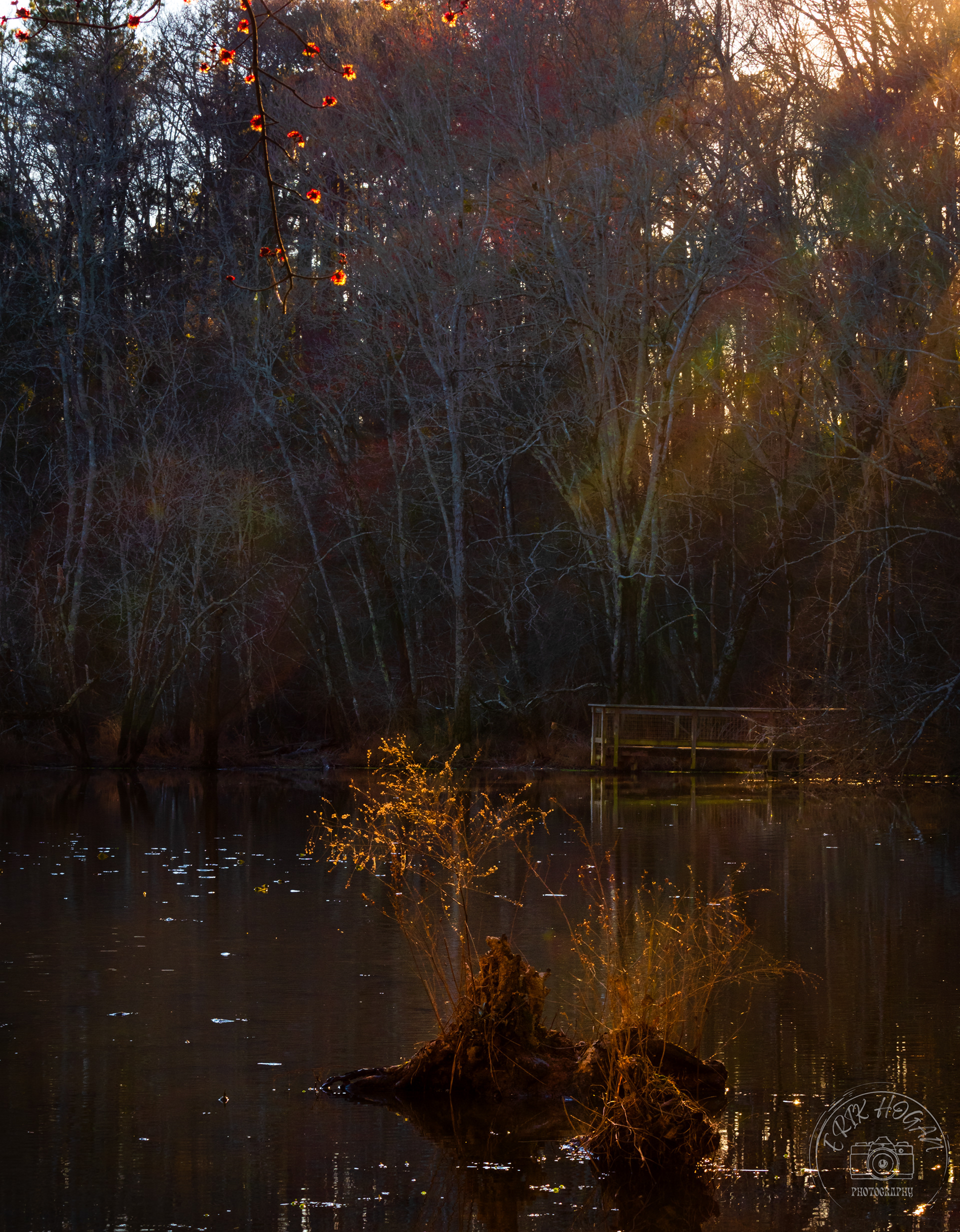 Sandy Creek Nature Center February 2022   II
