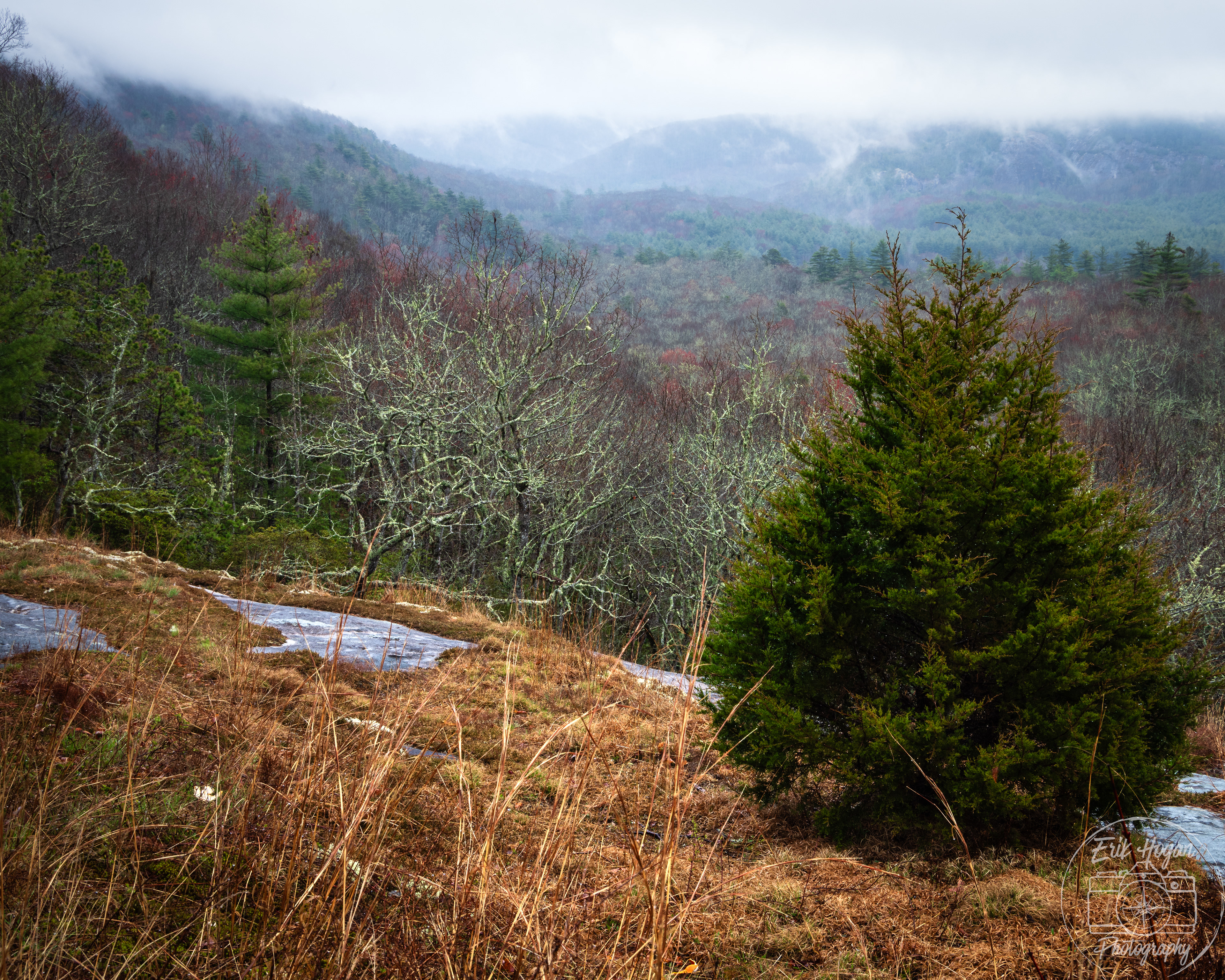 Panthertown Valley April 2024   X
