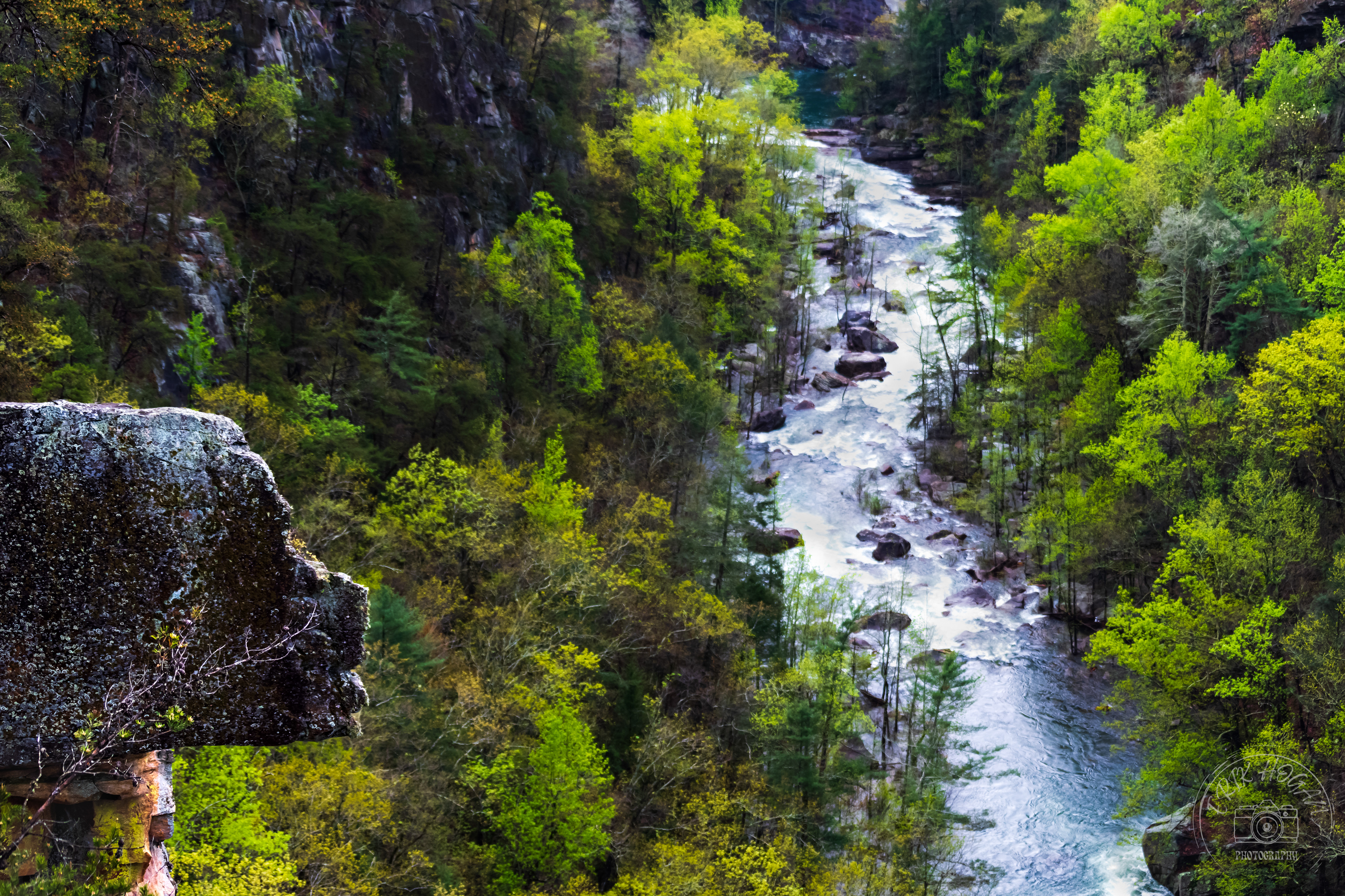 Tallulah Gorge April 2023   II