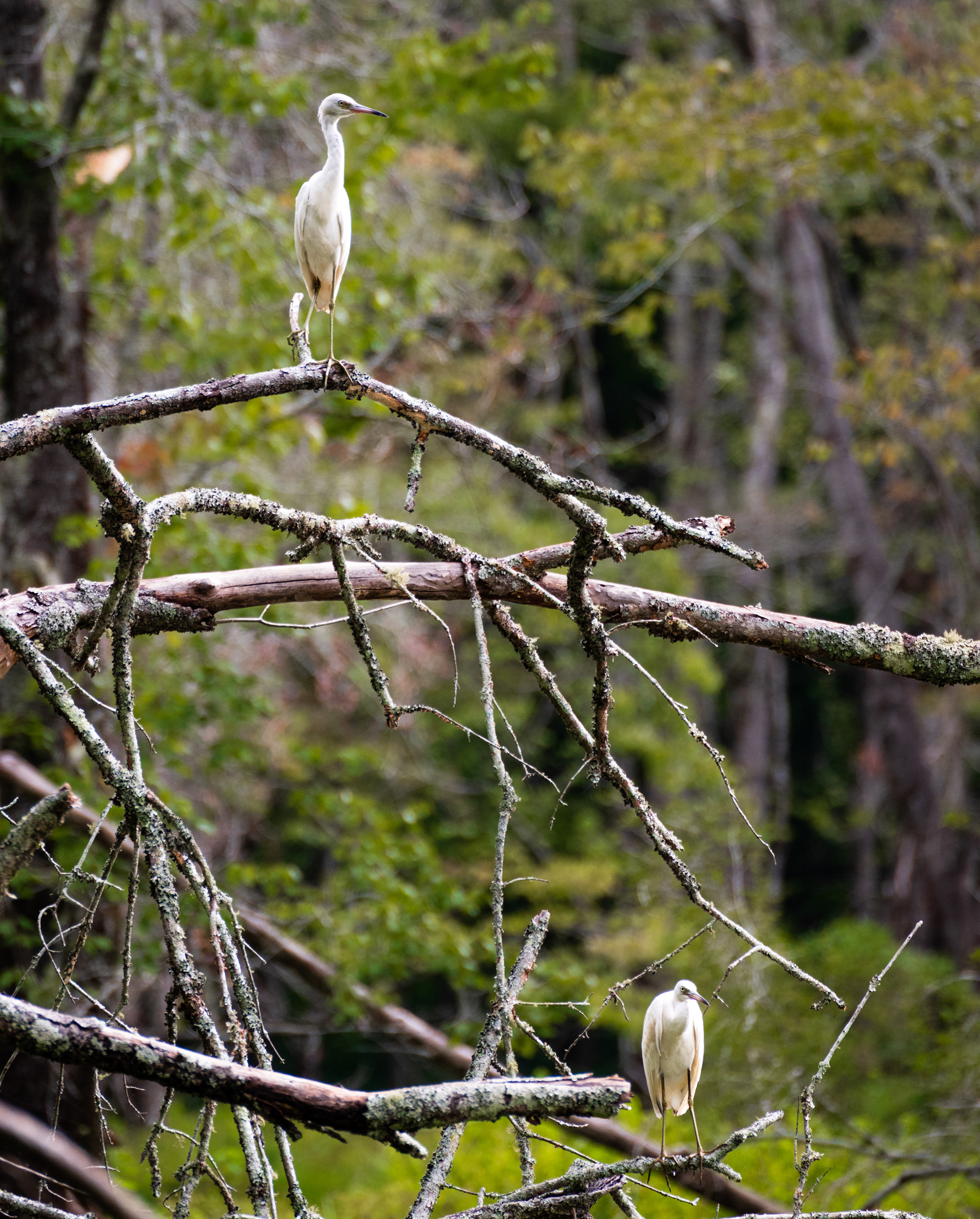 Sandy Creek Nature Center August 2022