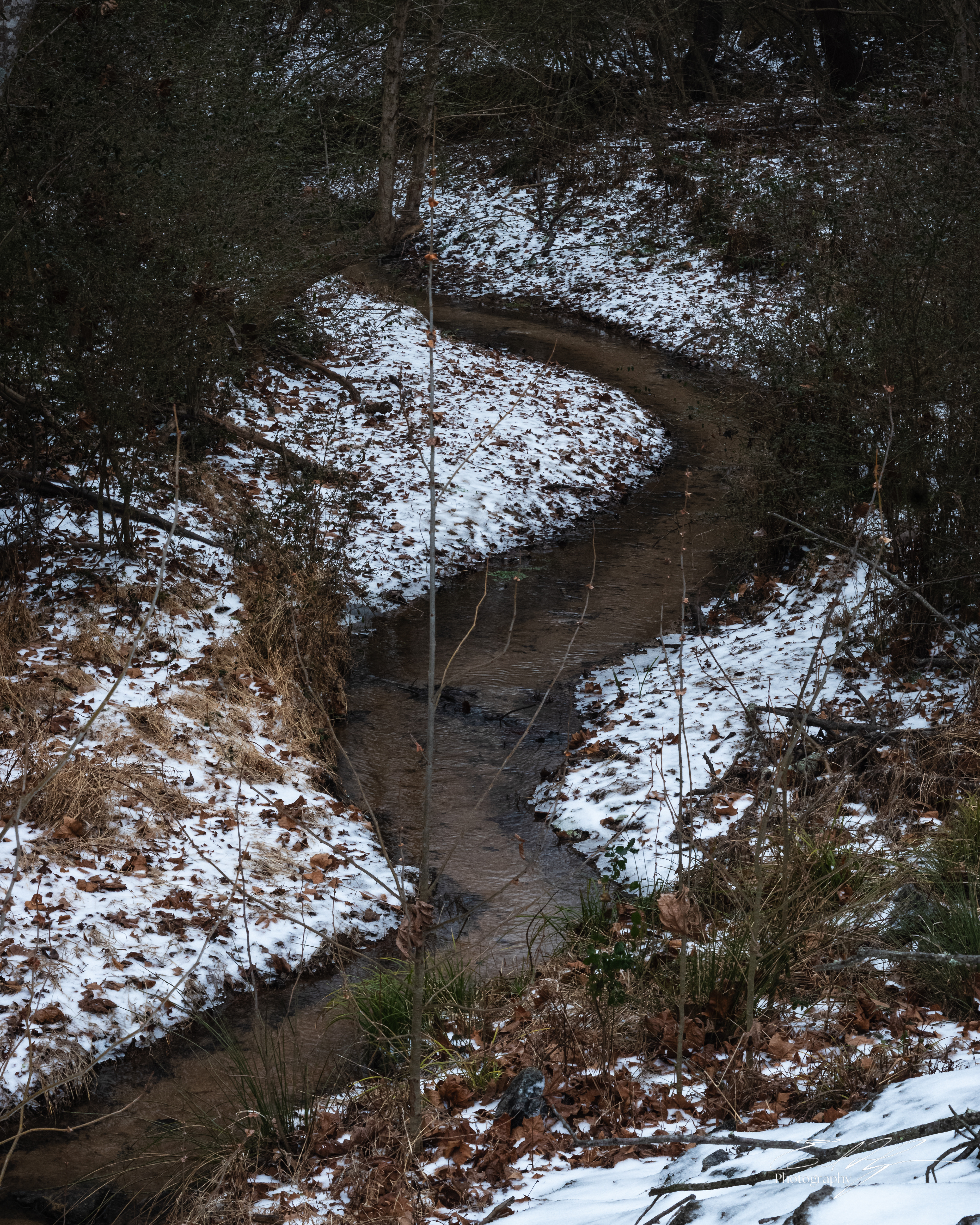 Ice Storm January 2026 III