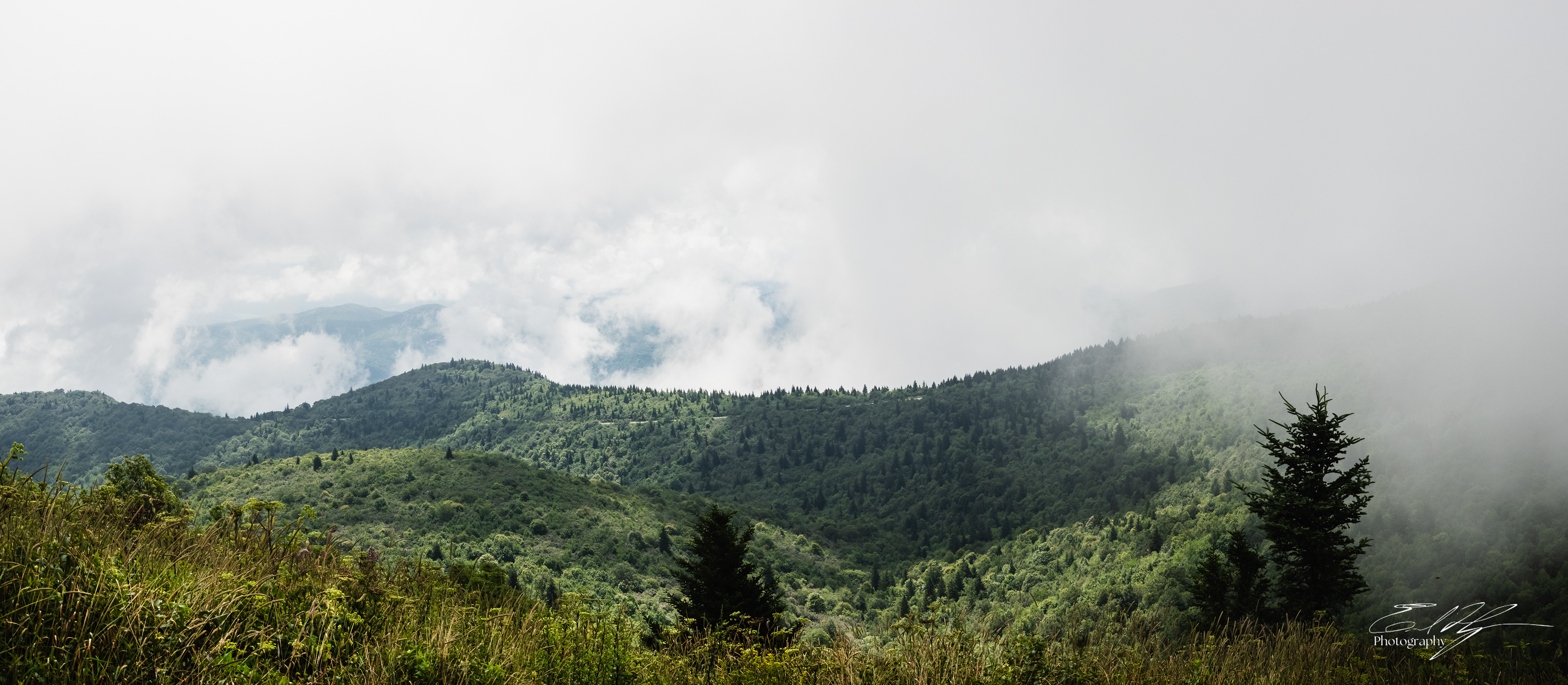 Black Balsam August 2025 VI