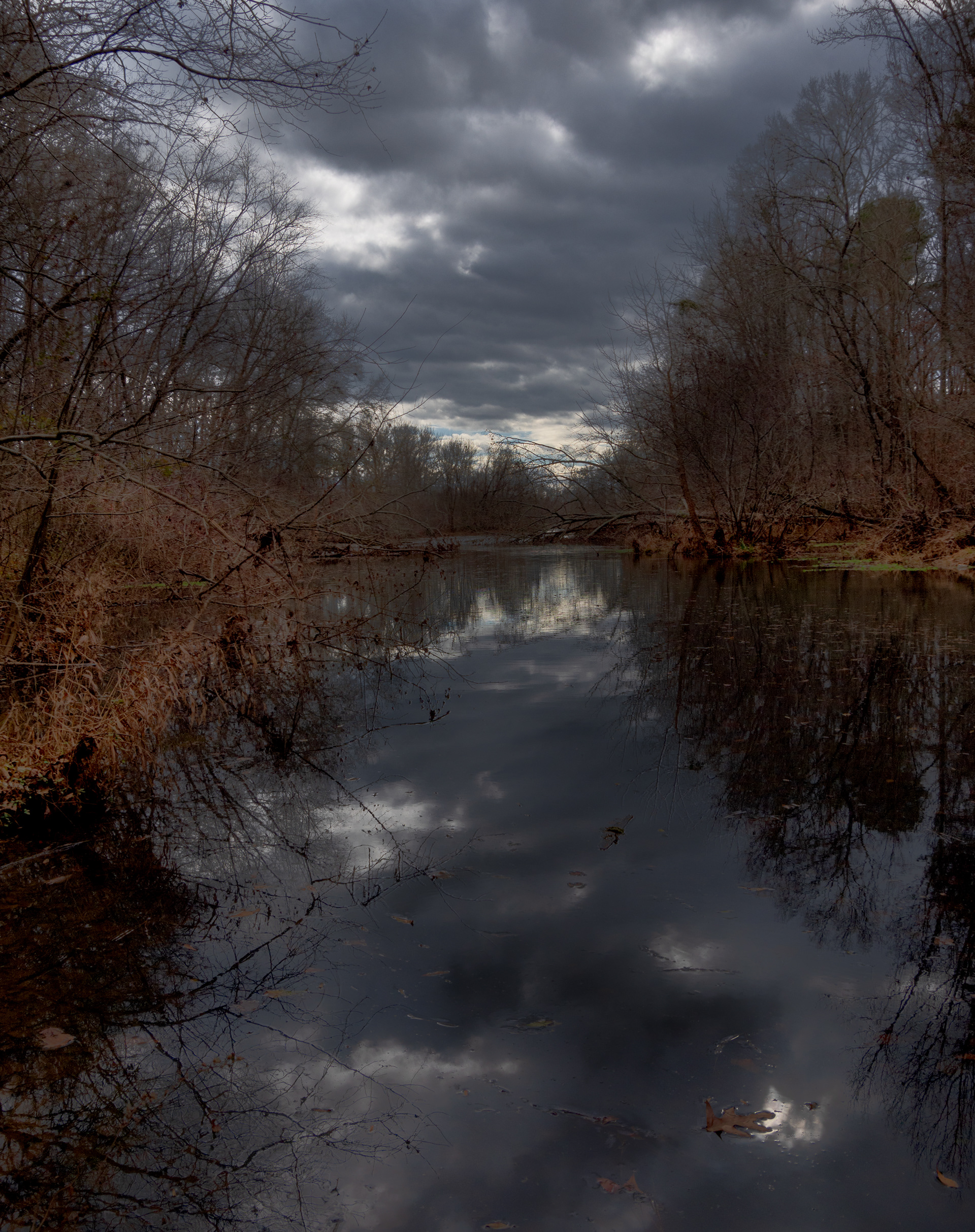Dyar's Pasture December 2021   I