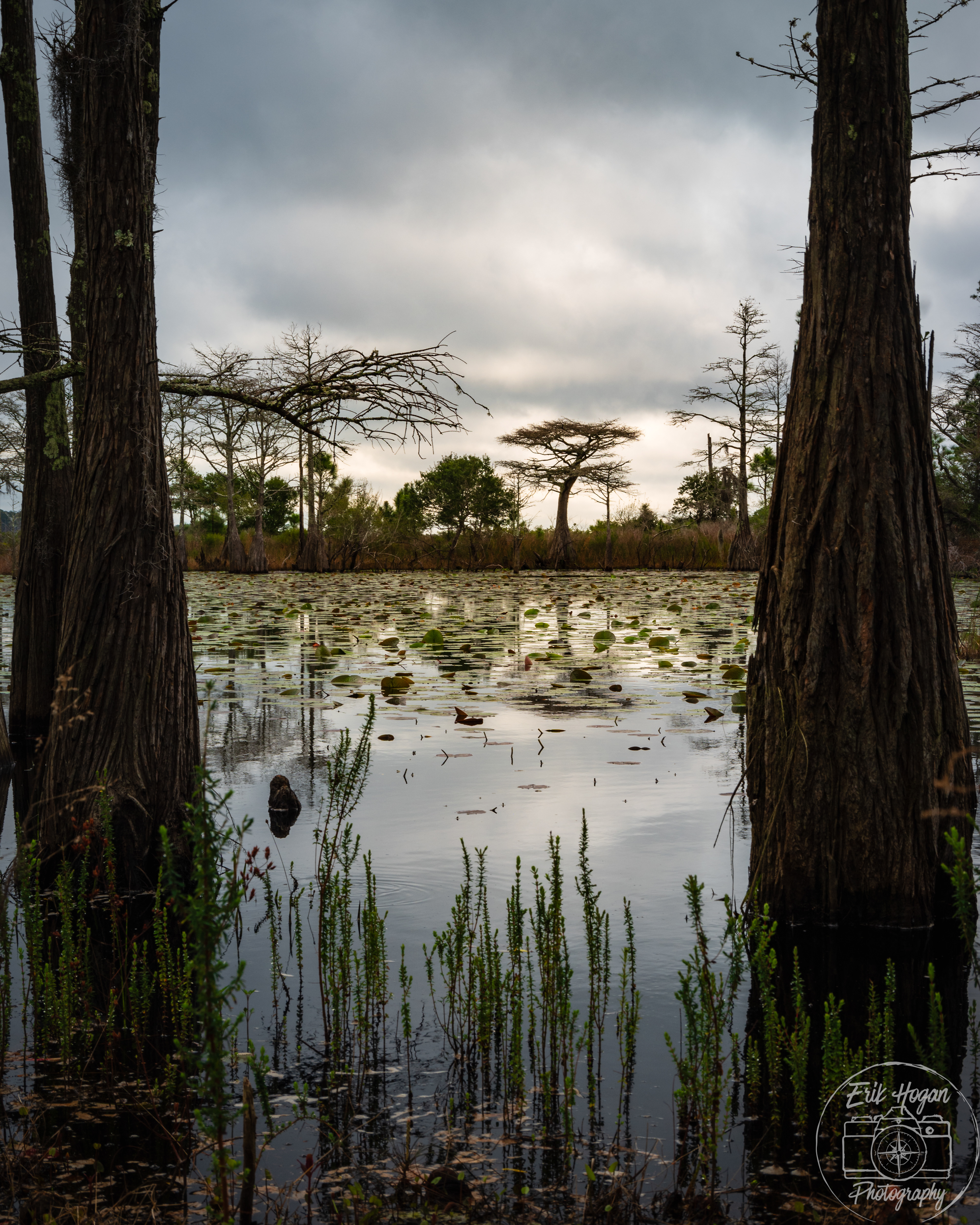 Topsail Hill Preserve State Park March 2024   II