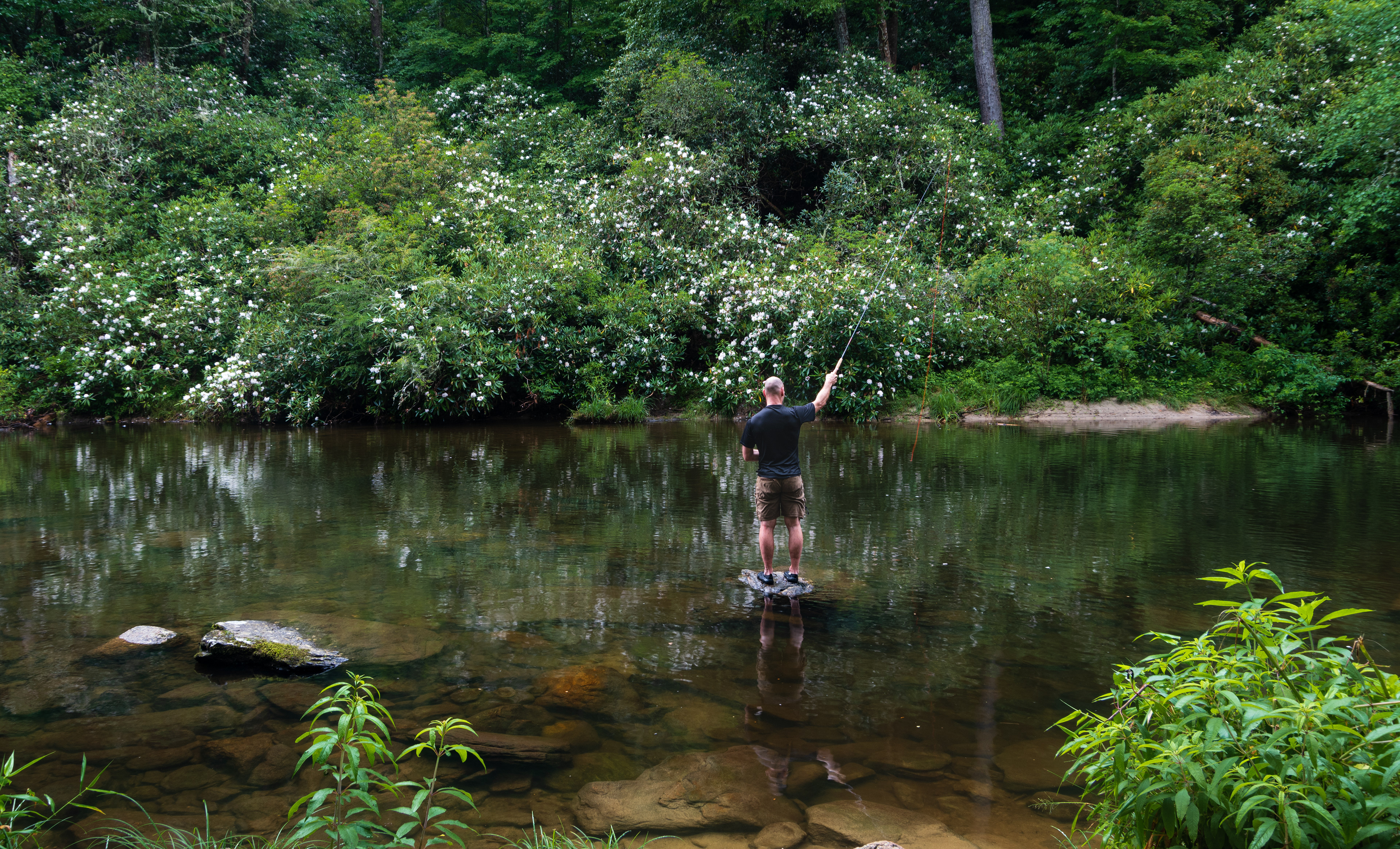 Ellicott Rock Wilderness July 2022   III