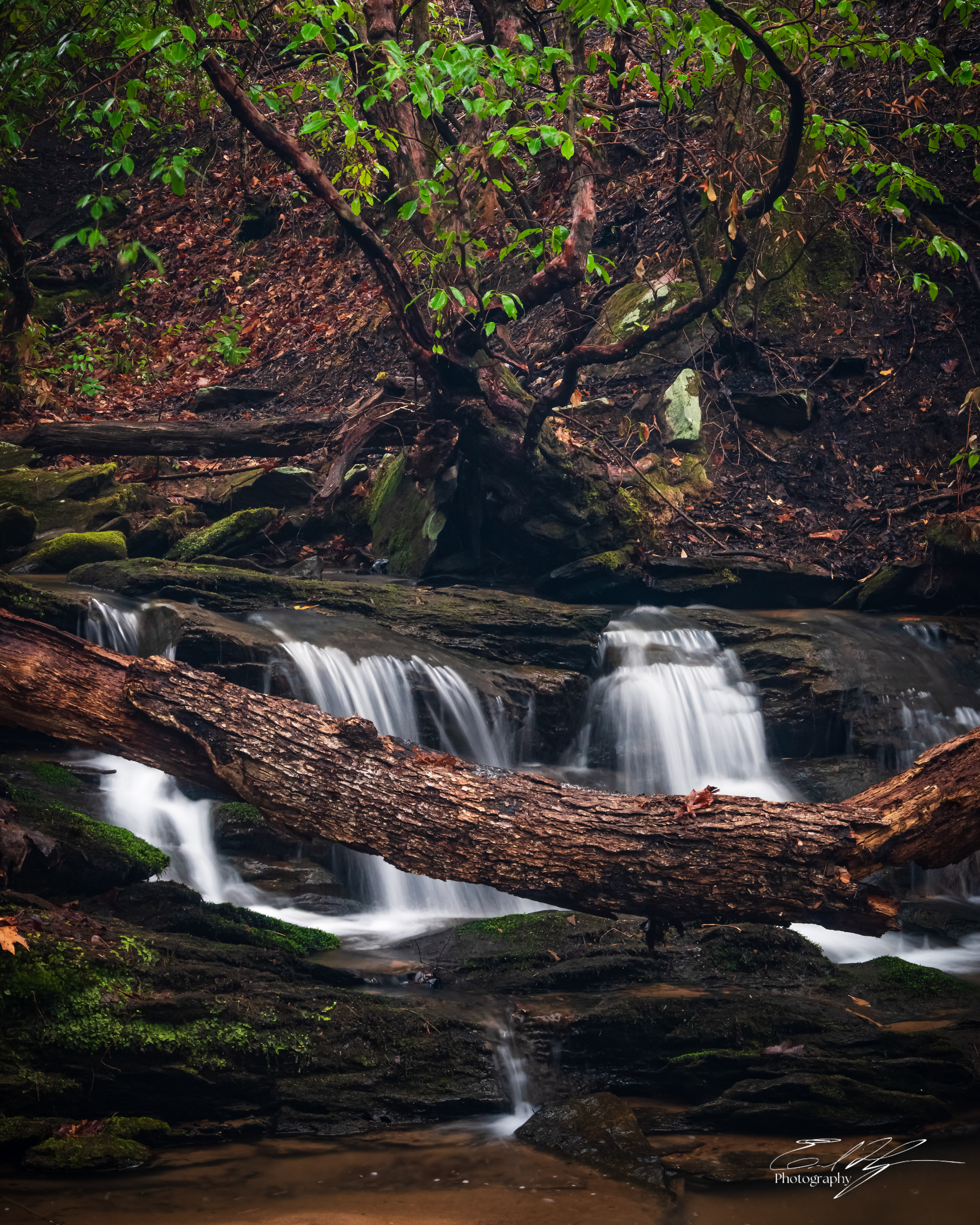 Upper Tabor Falls March 2025   II